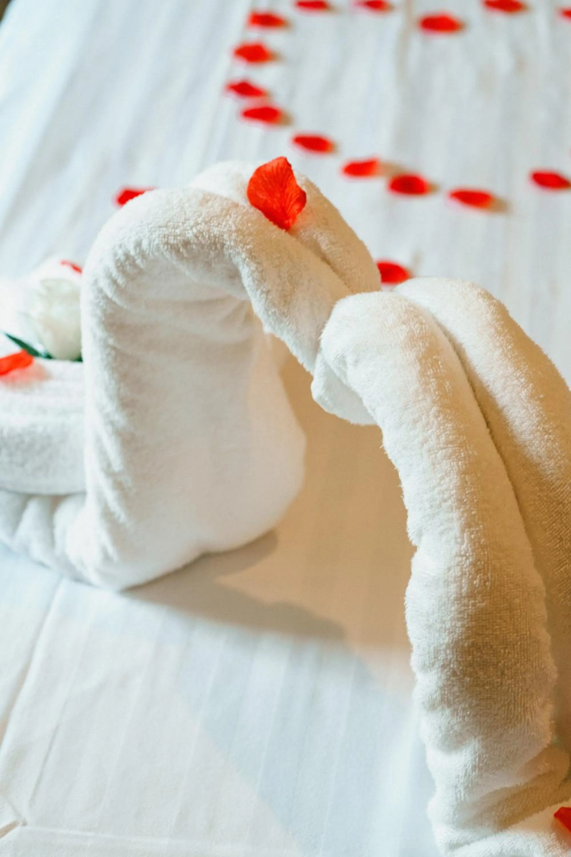 Bed in Hotel Posada Virreyes