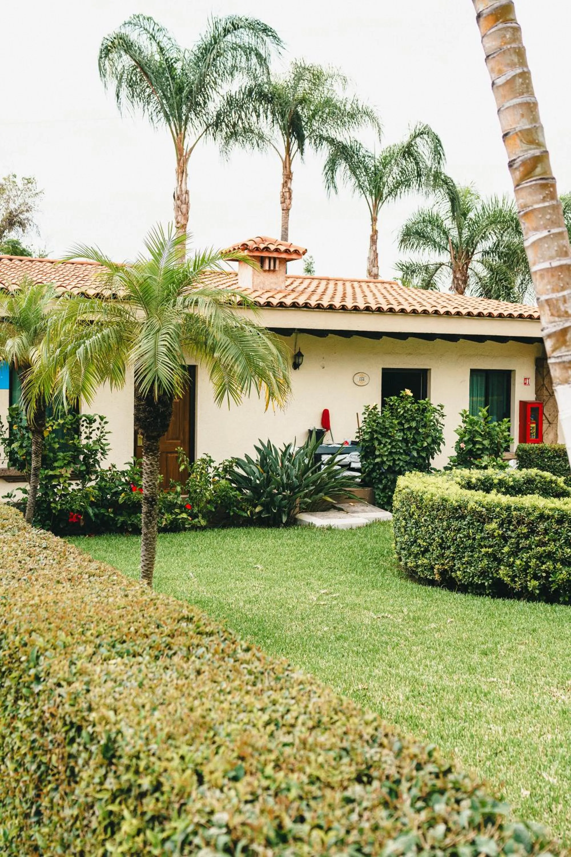 Patio in Hotel Posada Virreyes