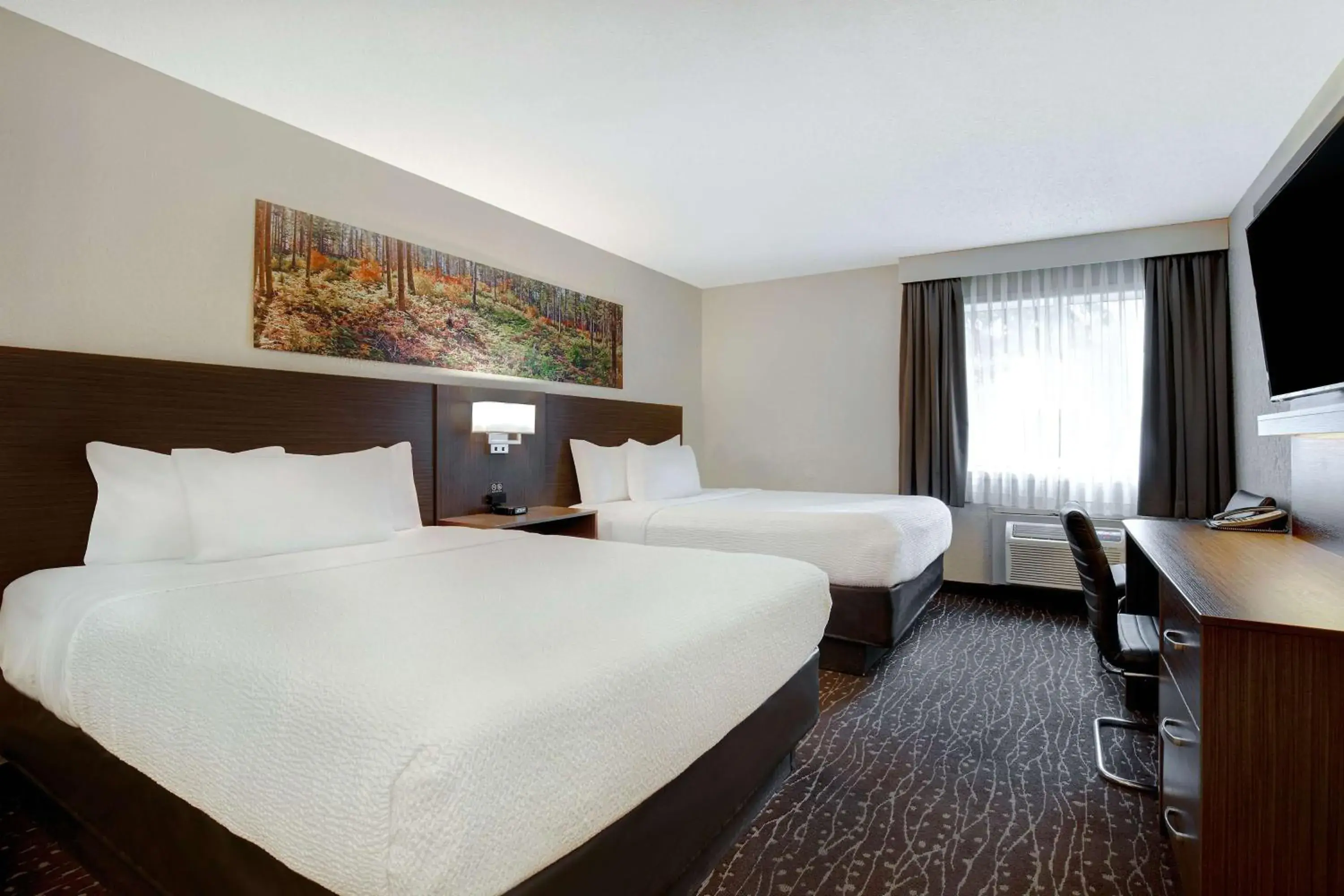 Queen Room with Two Queen Beds - Pet Friendly/Non-Smoking in Days Inn & Conference Centre by Wyndham Prince Albert Queen Room with Two Queen Beds - Pet Friendly/Non-Smoking in Days Inn & Conference Centre by Wyndham Prince Albert