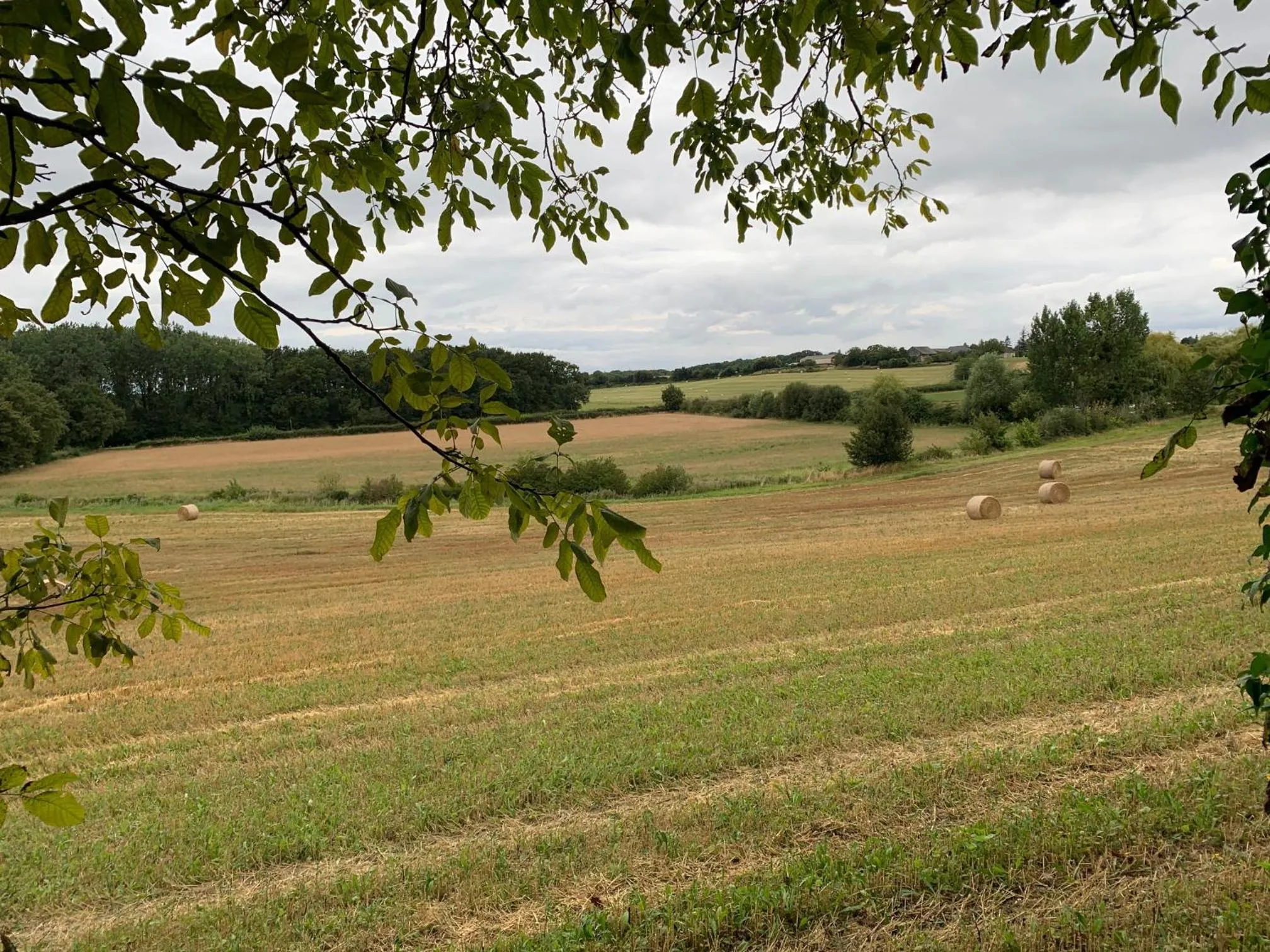 Le Logis de la Chouette