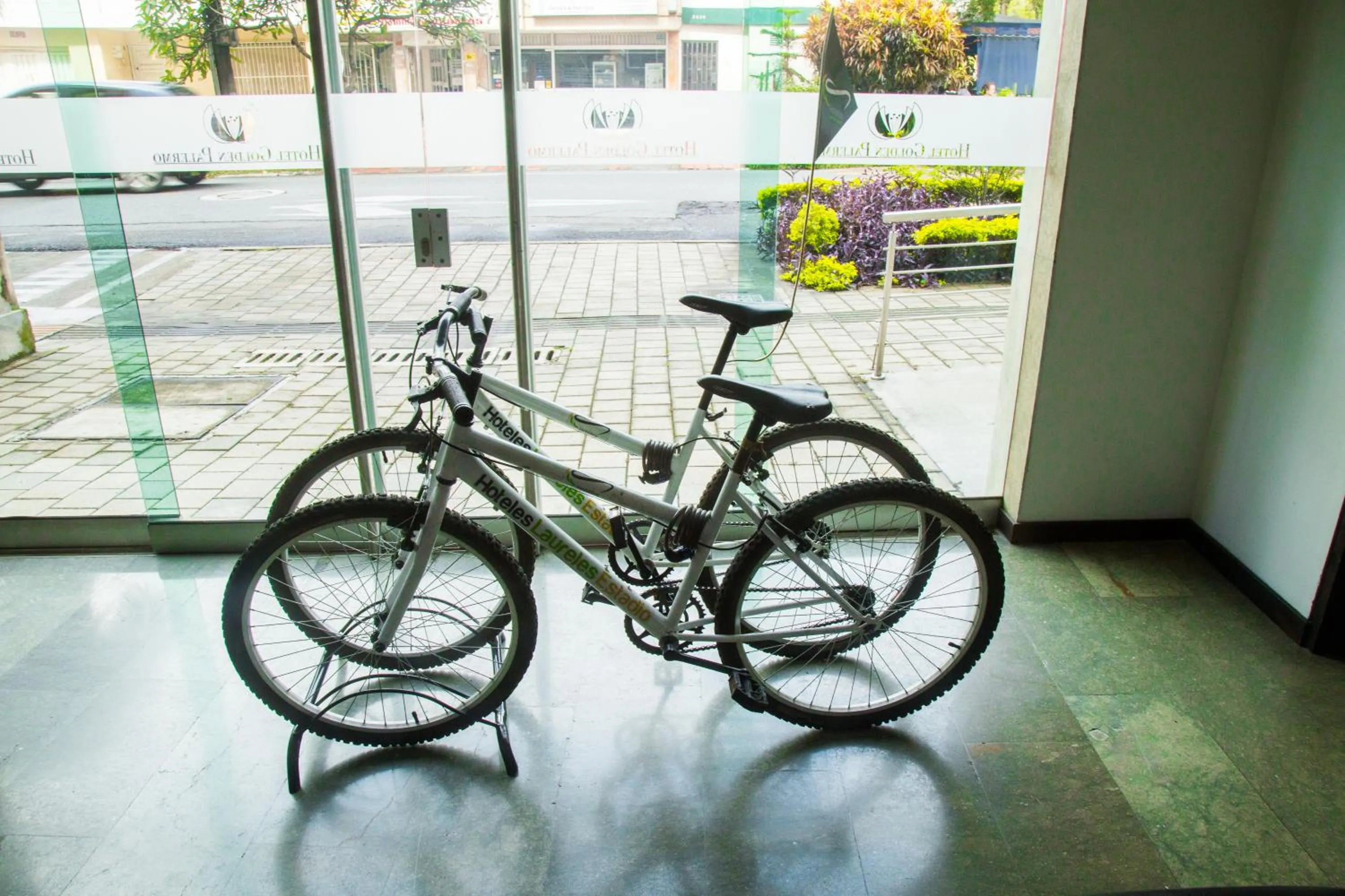 Cycling in Hotel Golden Palermo