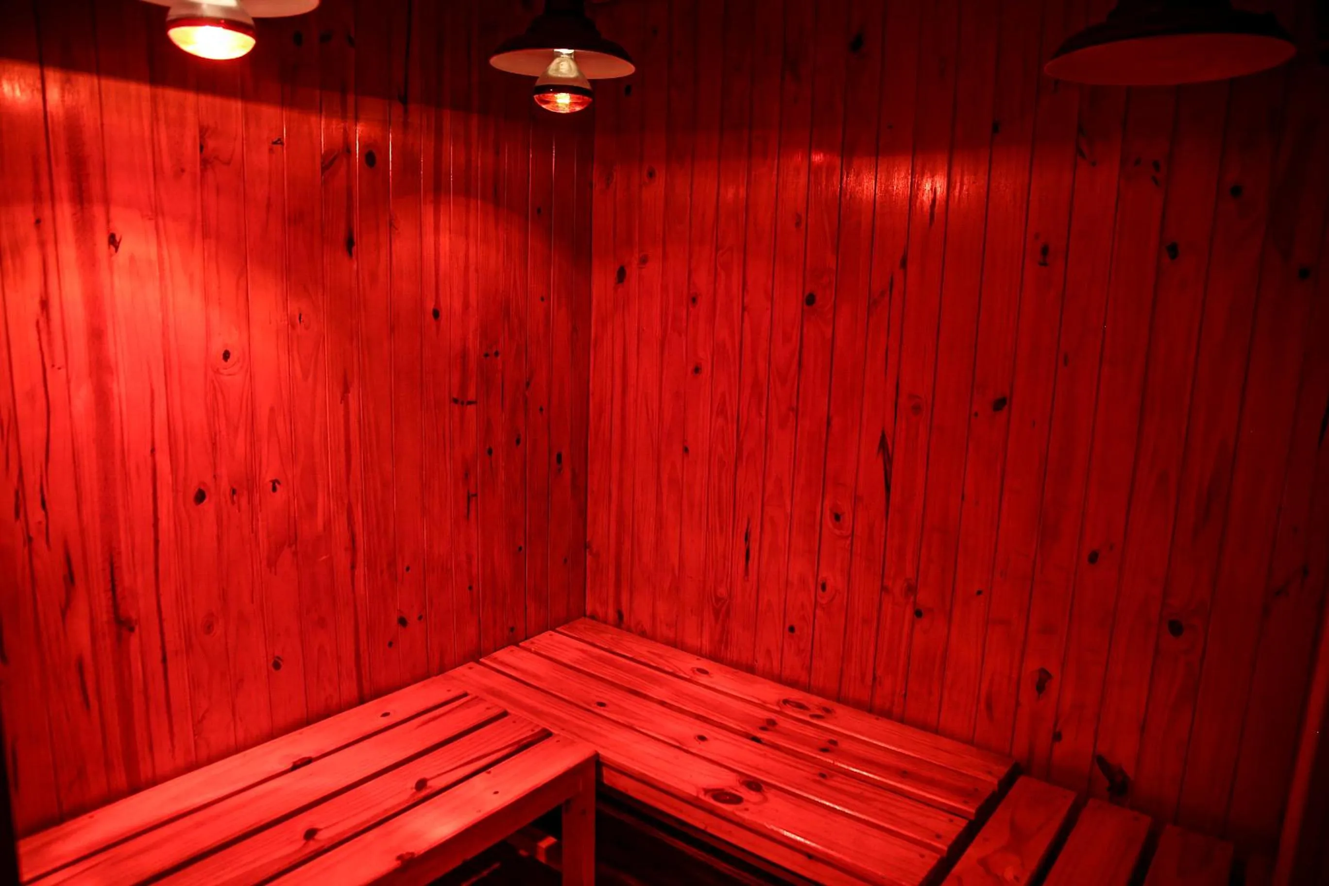 Sauna in San Martin Hotel y Spa