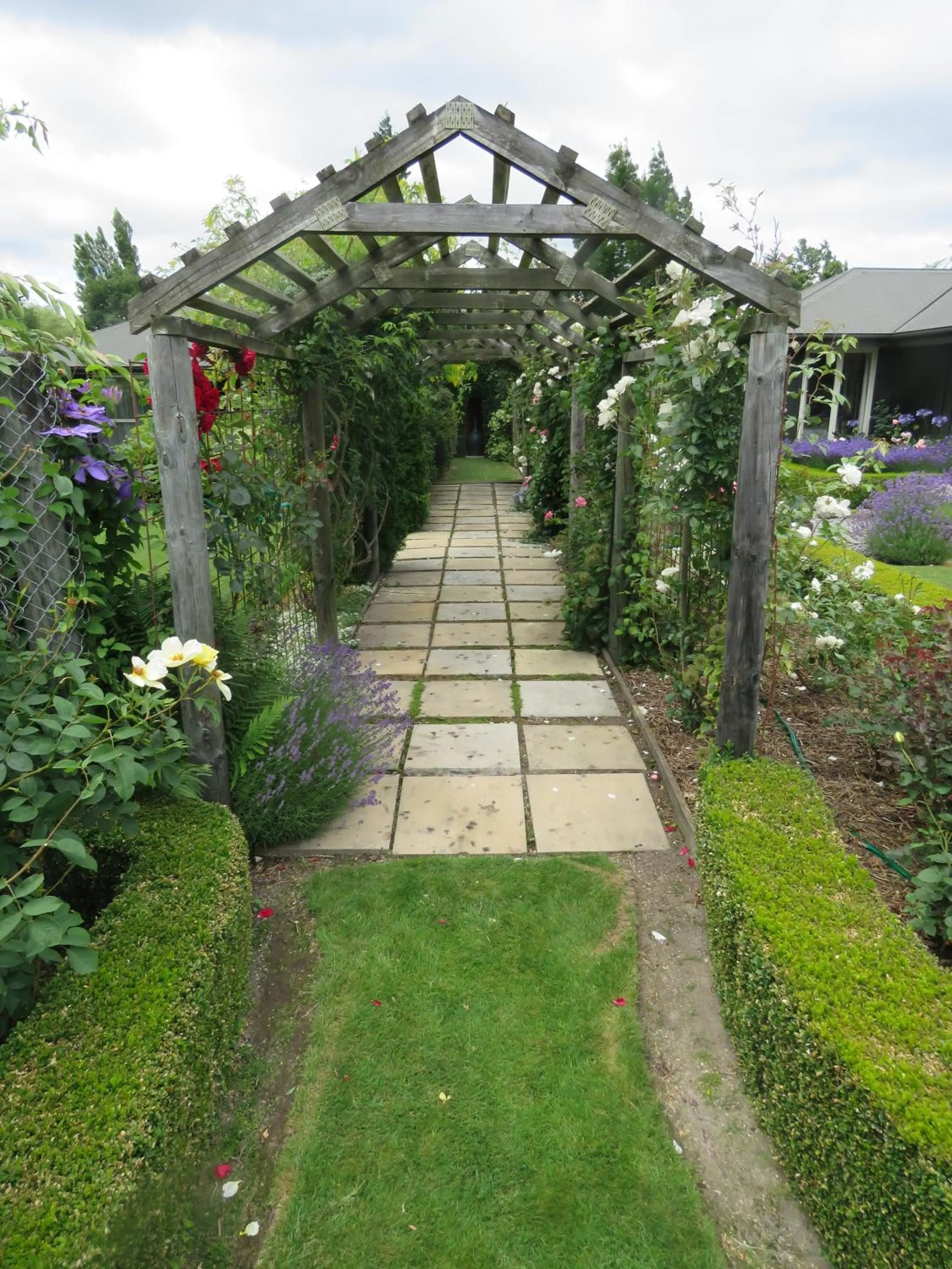 On site in Marchmont Gardens