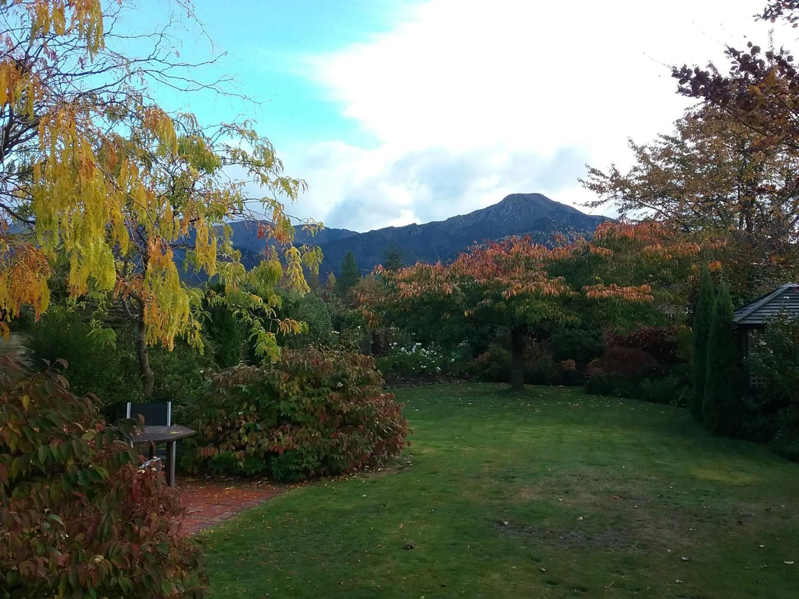Autumn in Marchmont Gardens