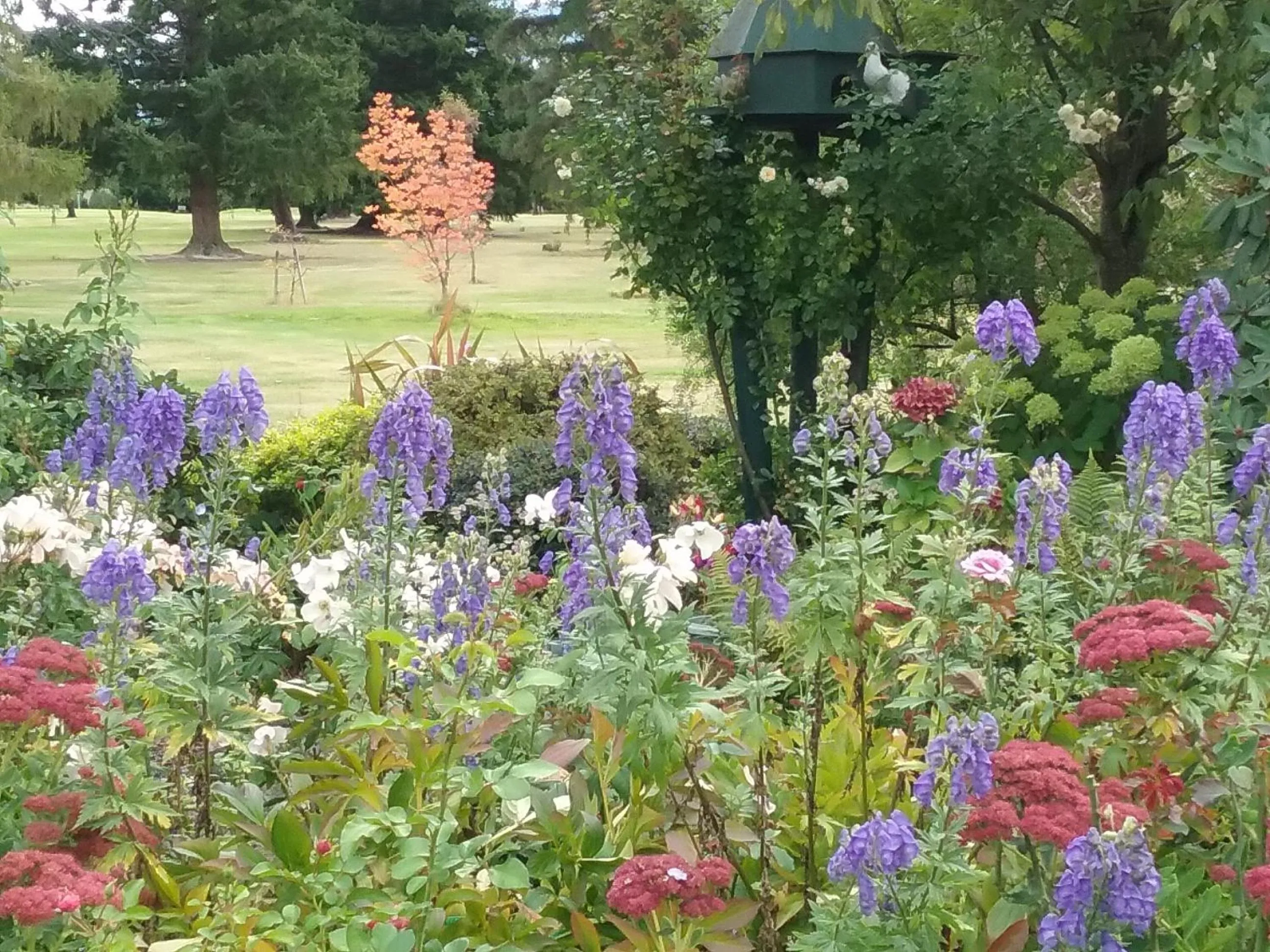 On site in Marchmont Gardens