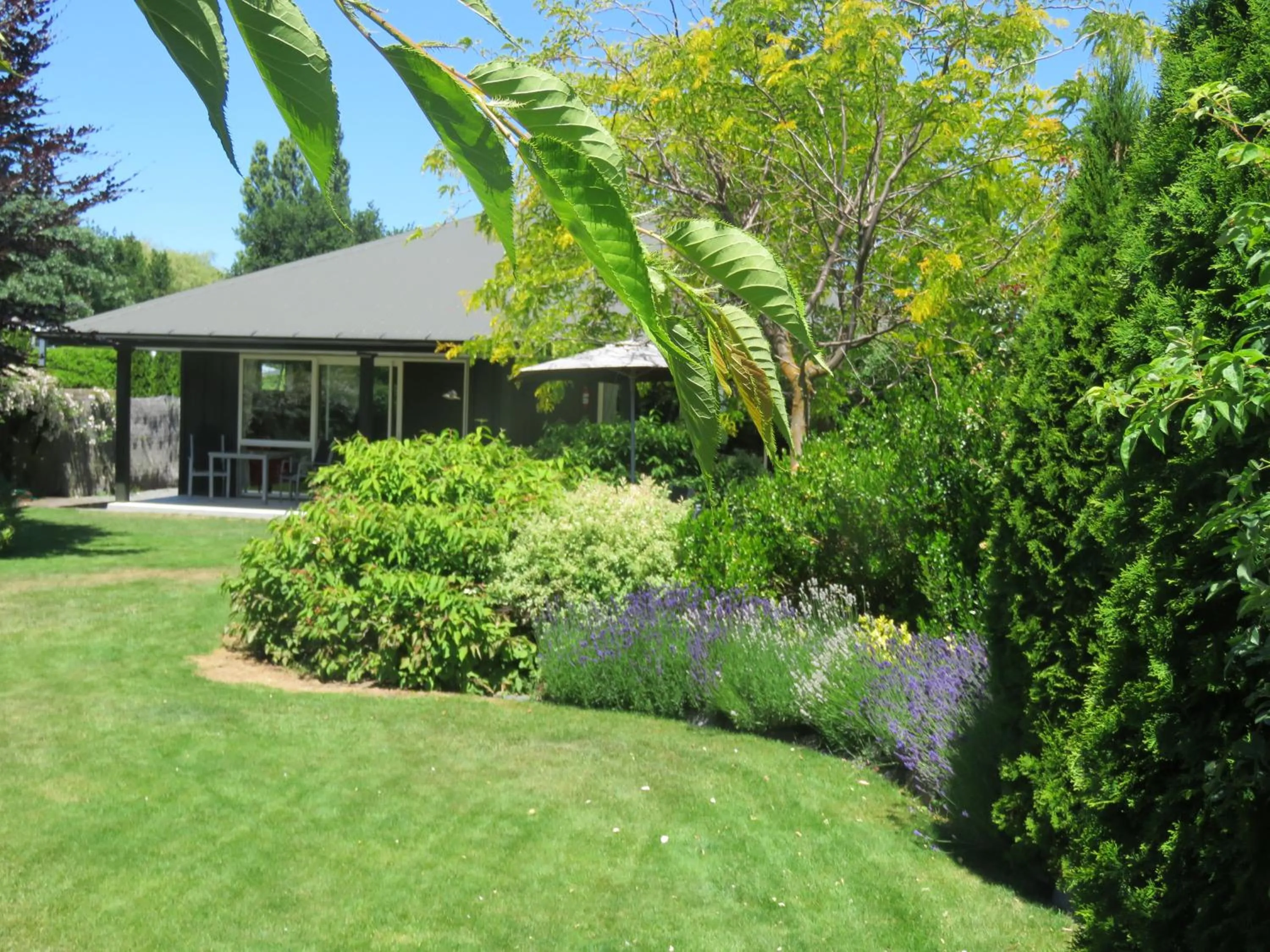 Garden view in Marchmont Gardens