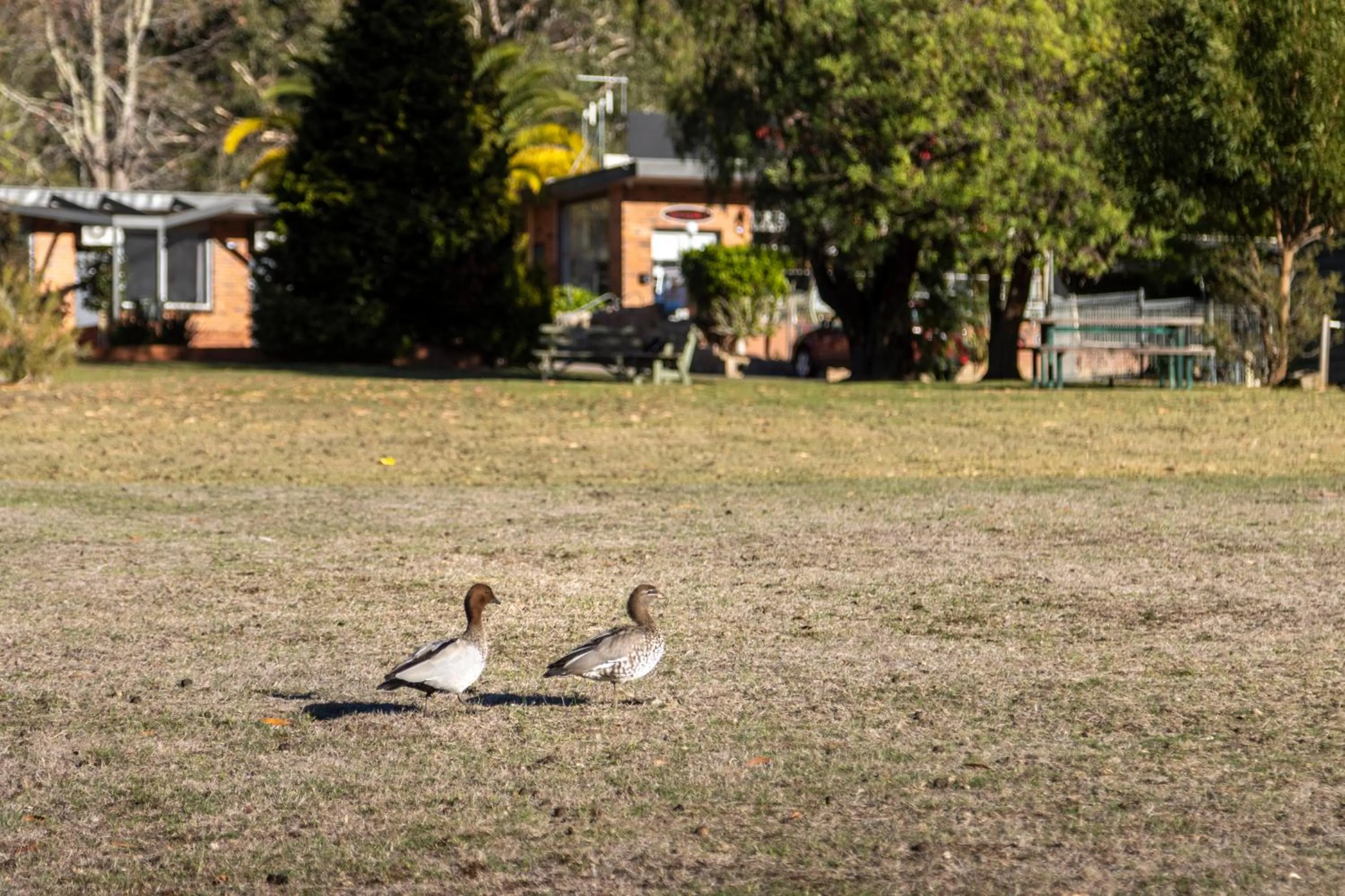 The Grampians Motel