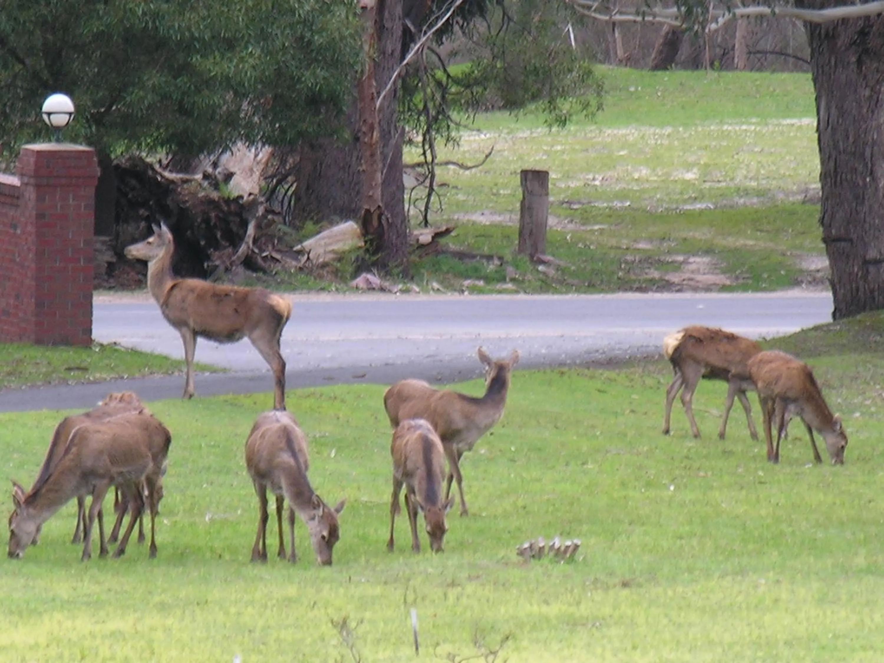 Other in The Grampians Motel
