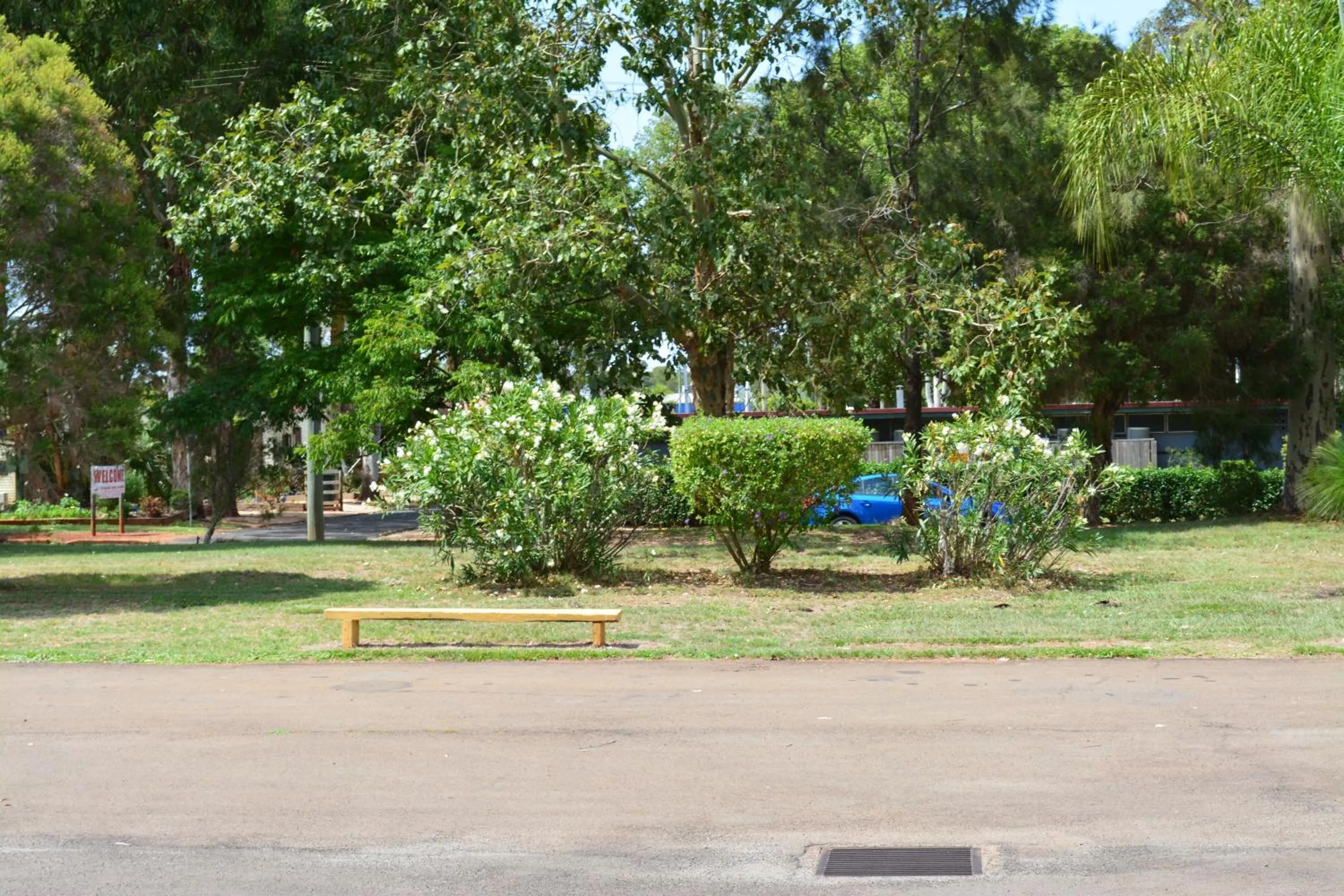 Garden in Motel Oasis