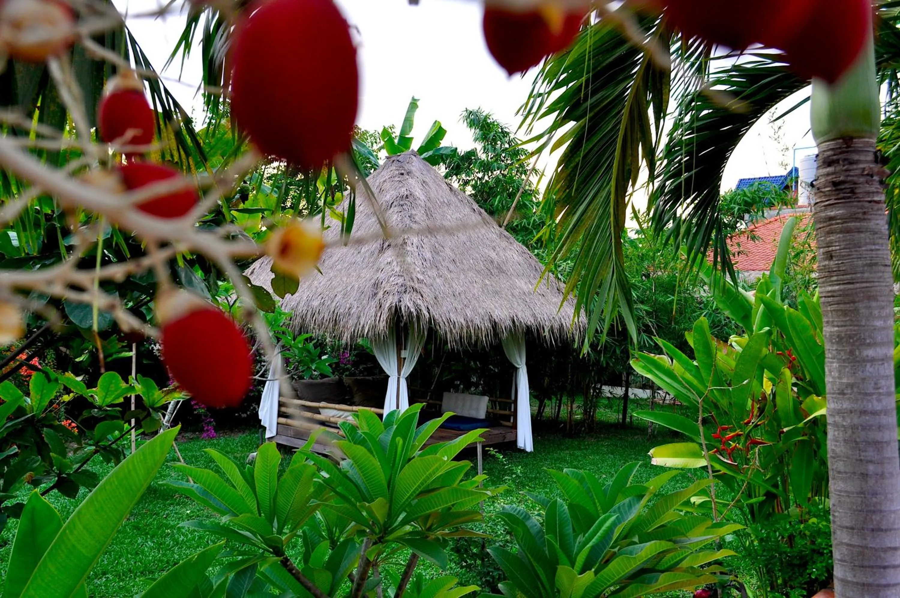 Garden in Raingsey Bungalow