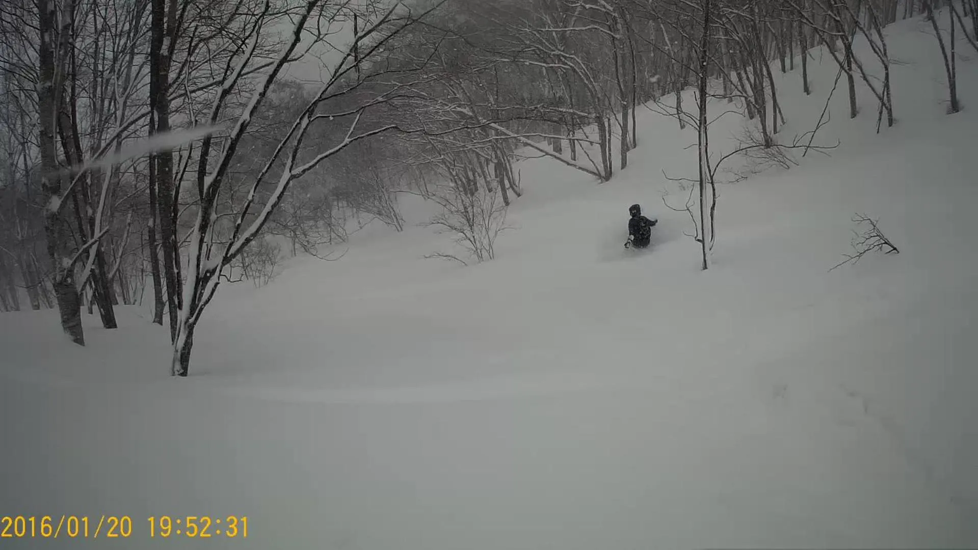 Winter in White Tree Log House Madarao Tangram