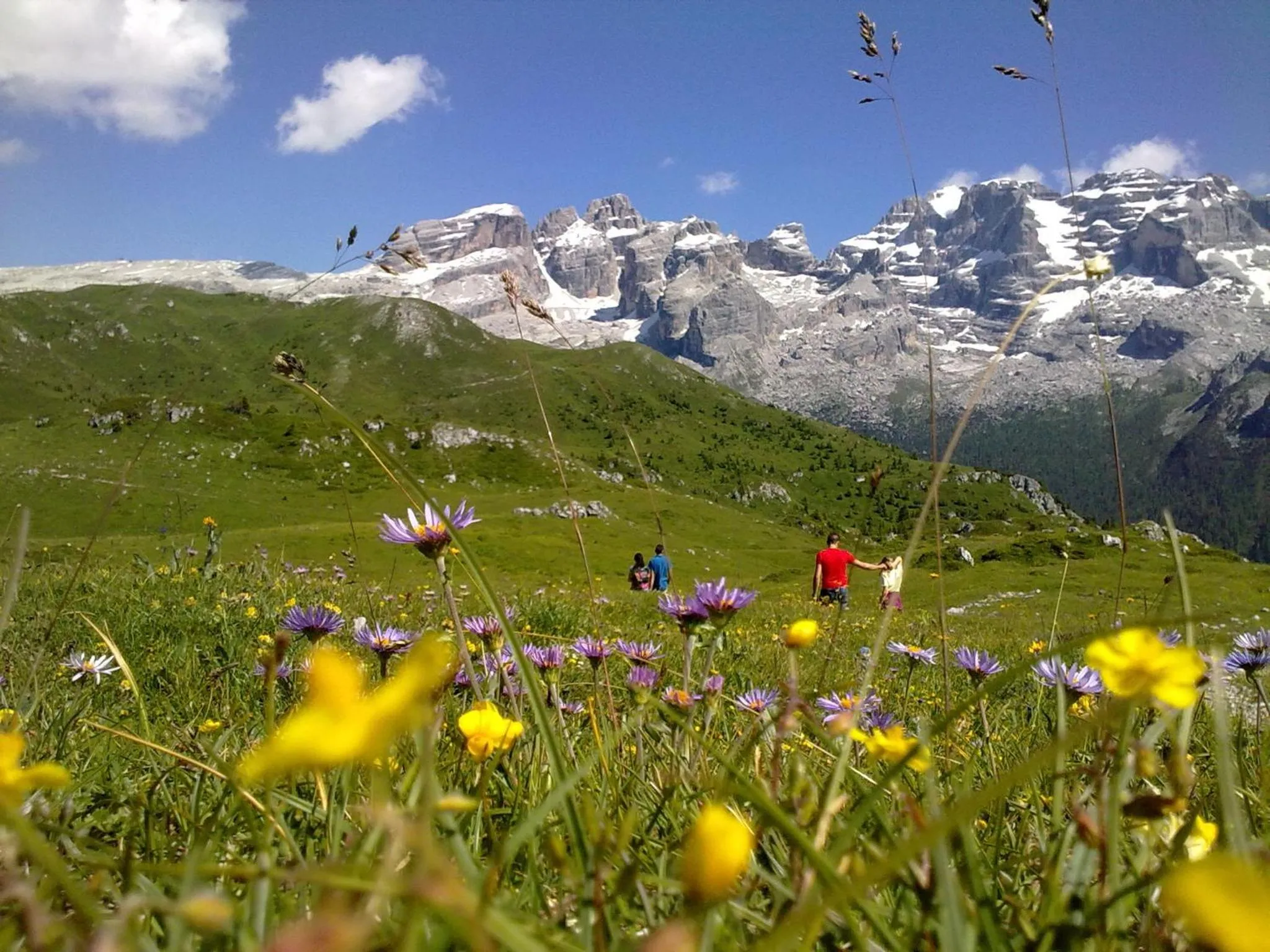 Natural landscape in Hotel Alpina