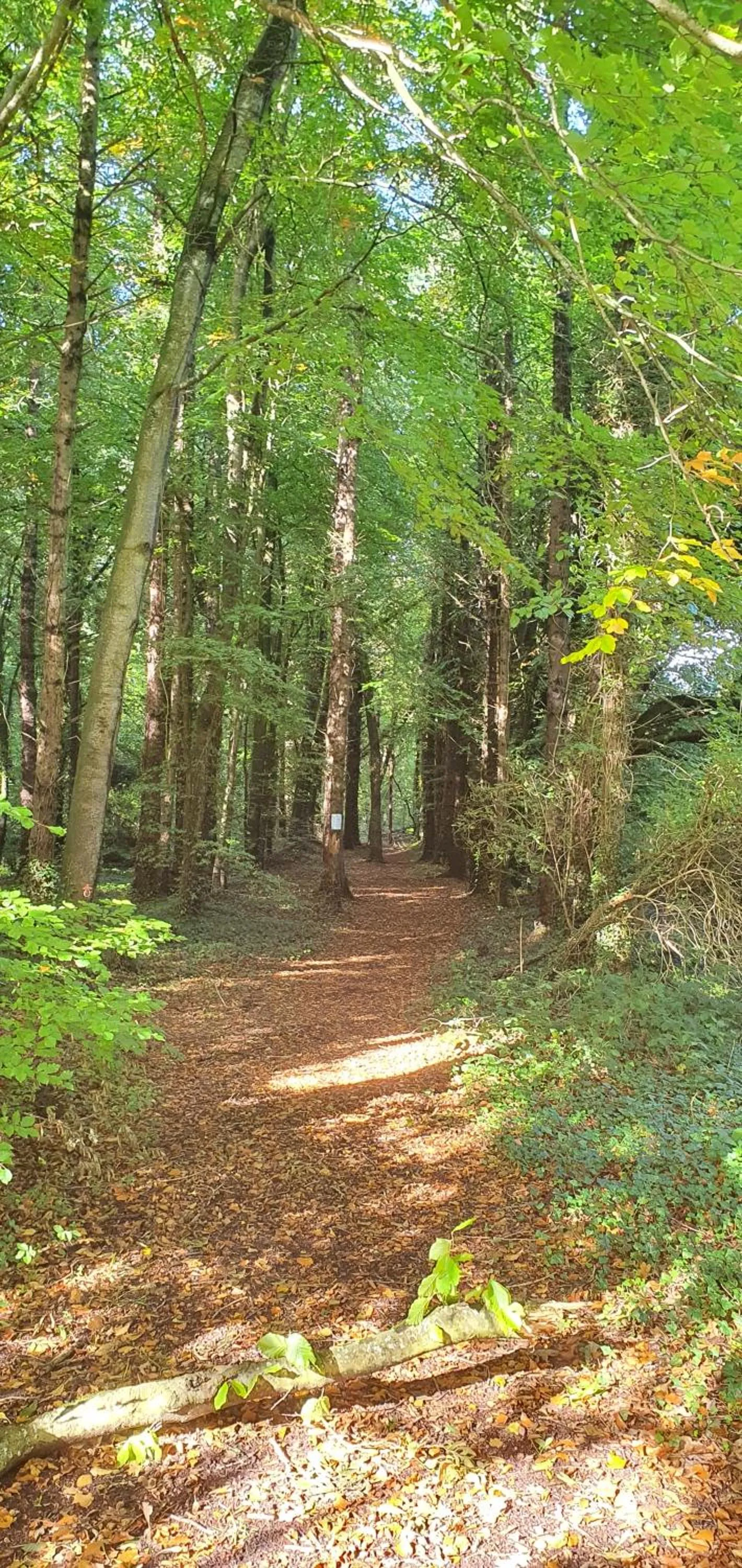 Day in Moyvalley Hotel & Golf Resort