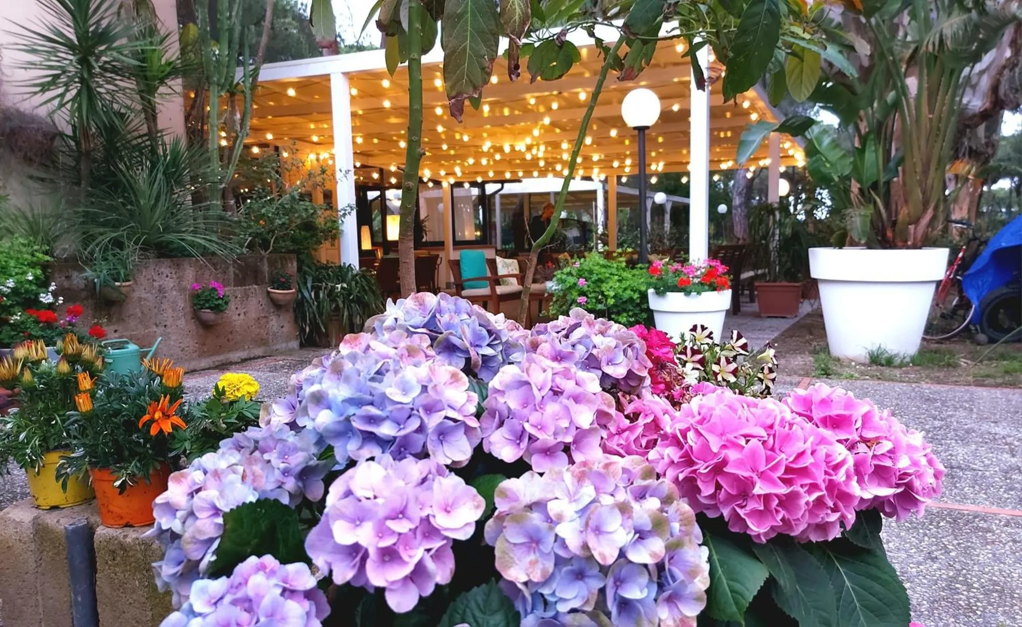 Garden view in Hotel Giardino
