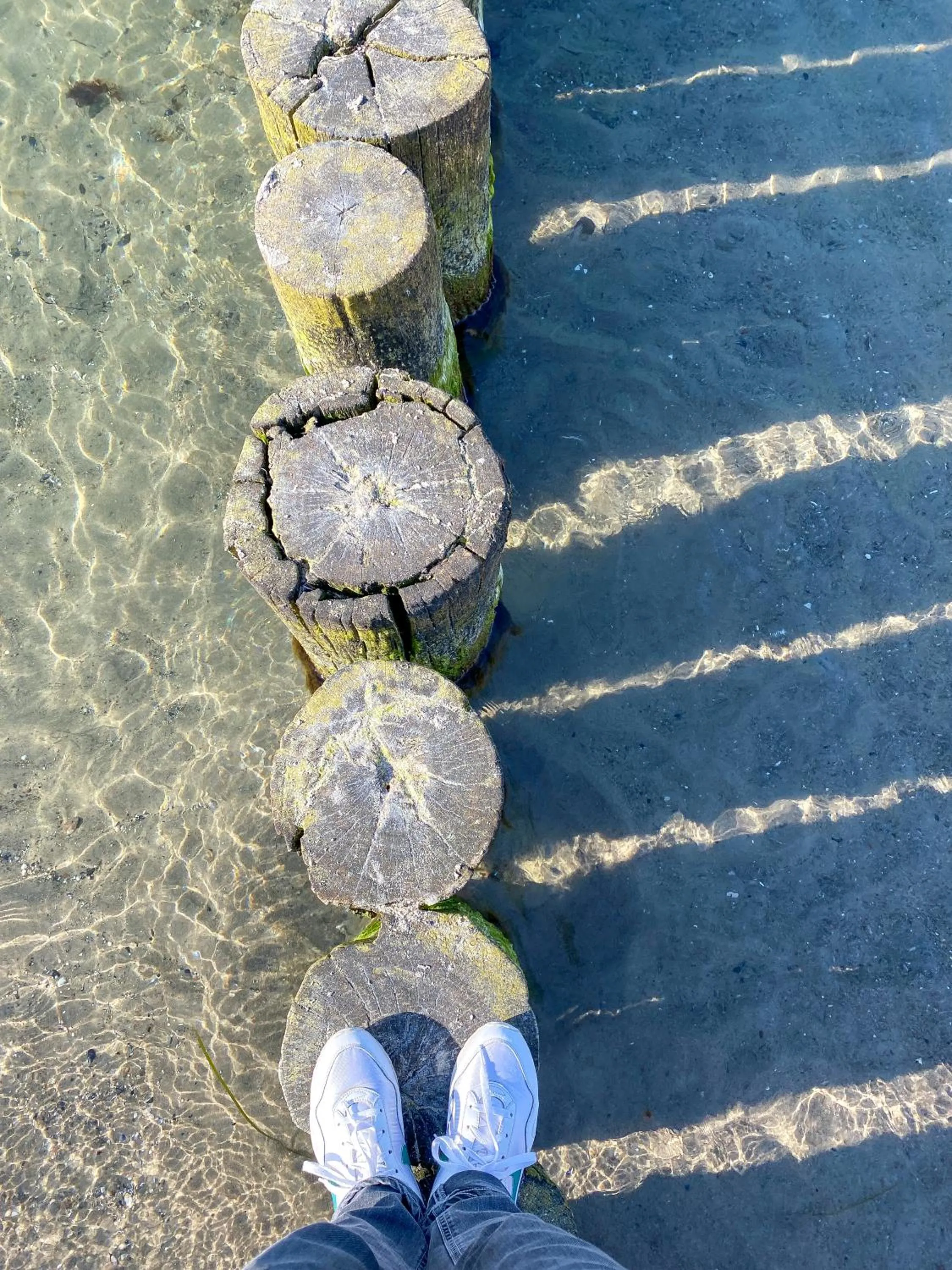 Beach in feels Beach Club Hotel