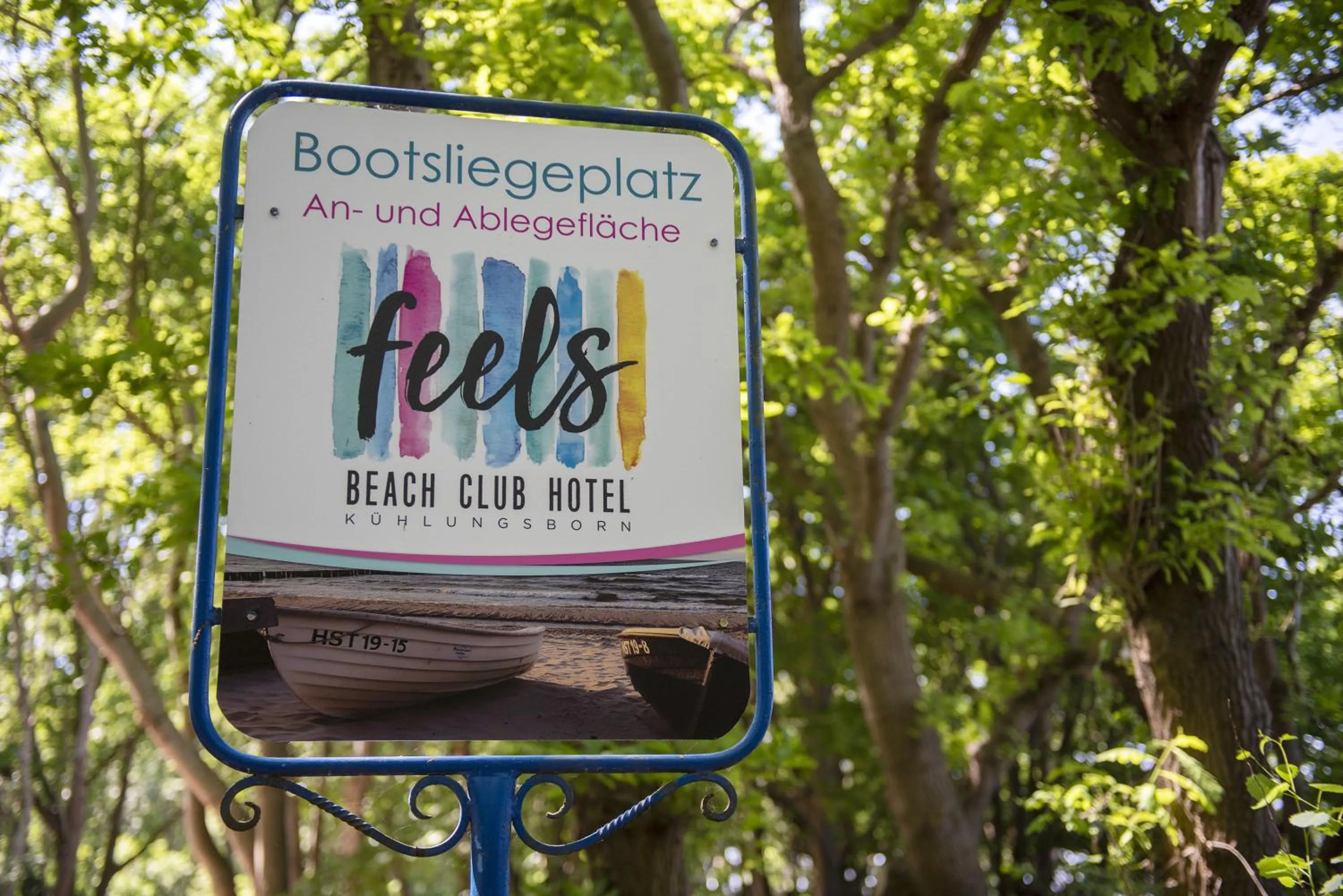 Sports in feels Beach Club Hotel