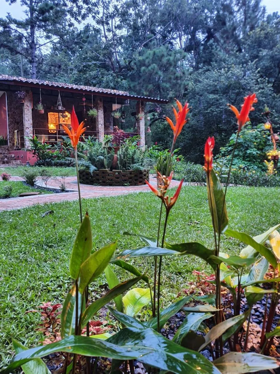 Communal kitchen in VillaHermosa B&B