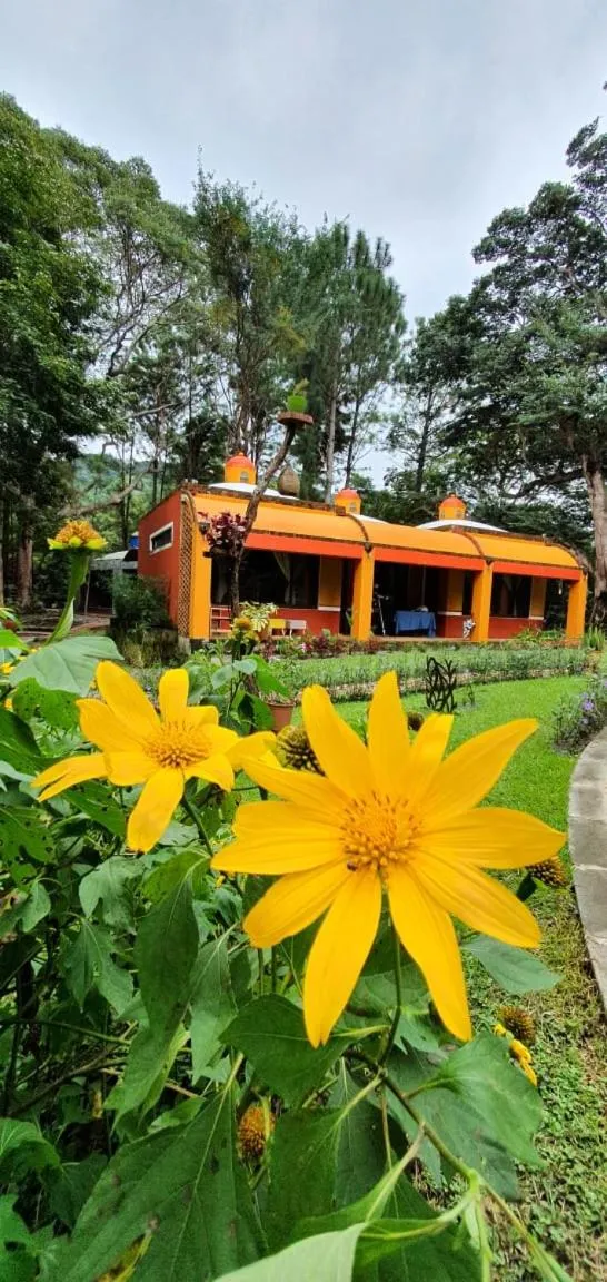 Property building in VillaHermosa B&B