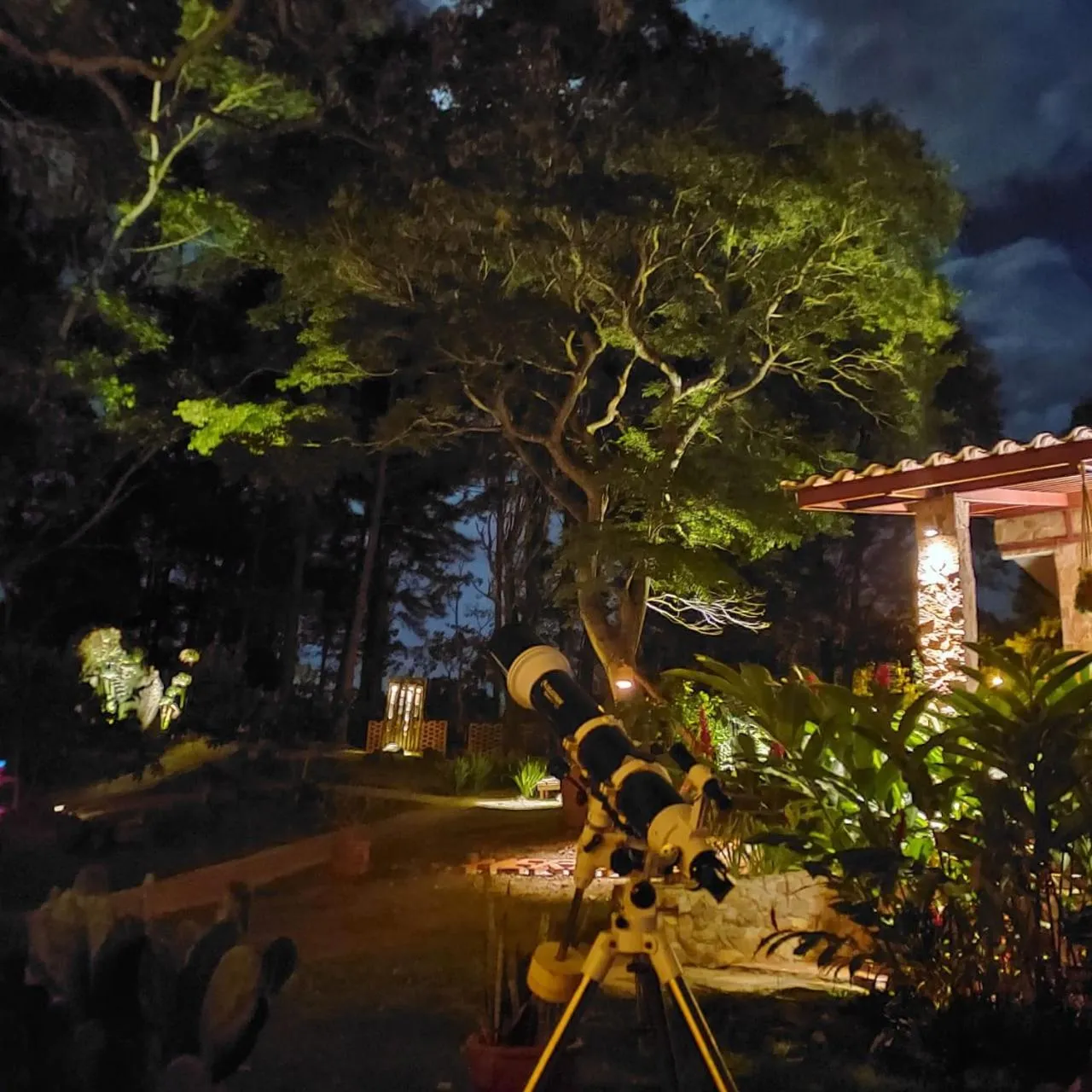 Garden in VillaHermosa B&B