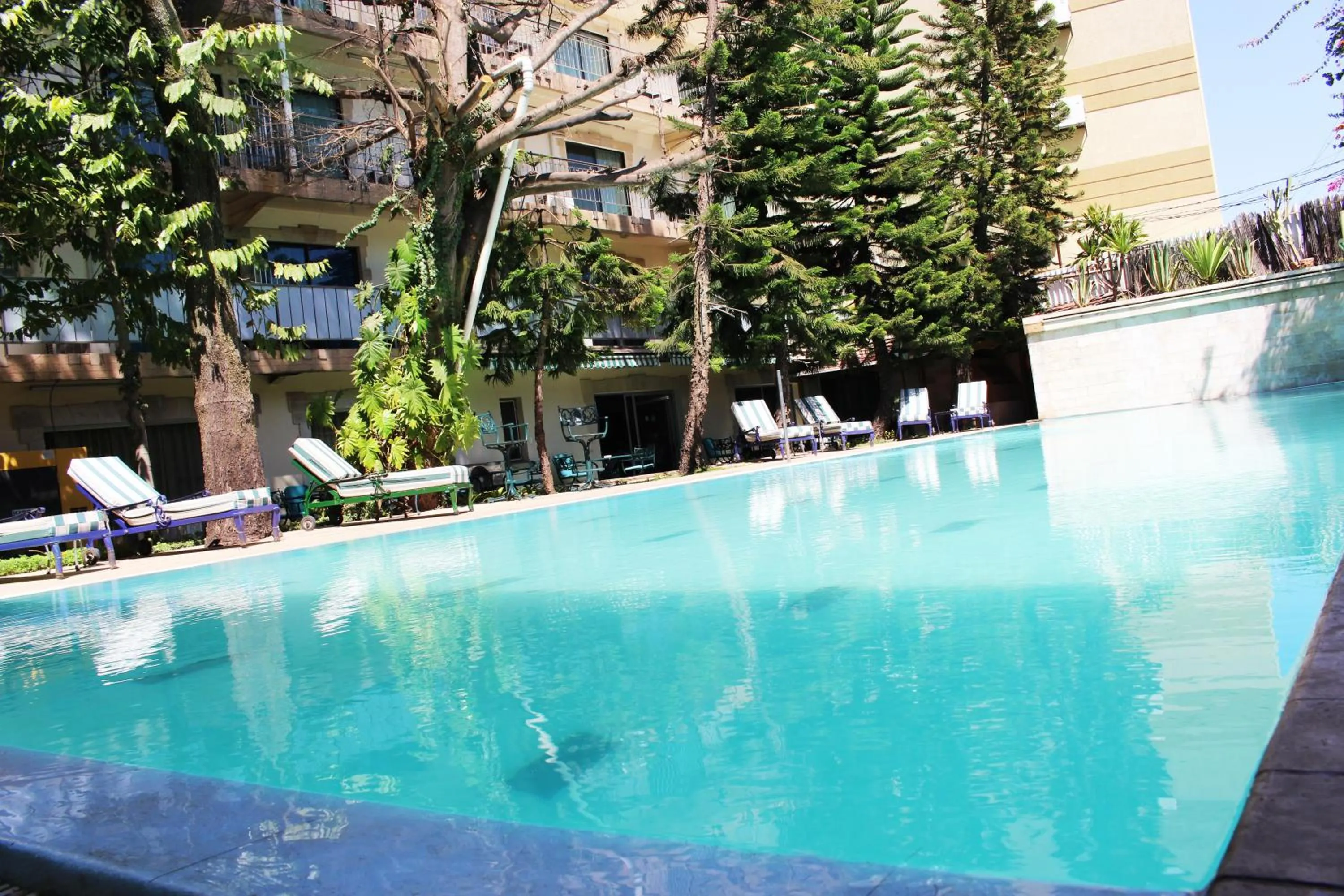 Pool view in Sunny Garden