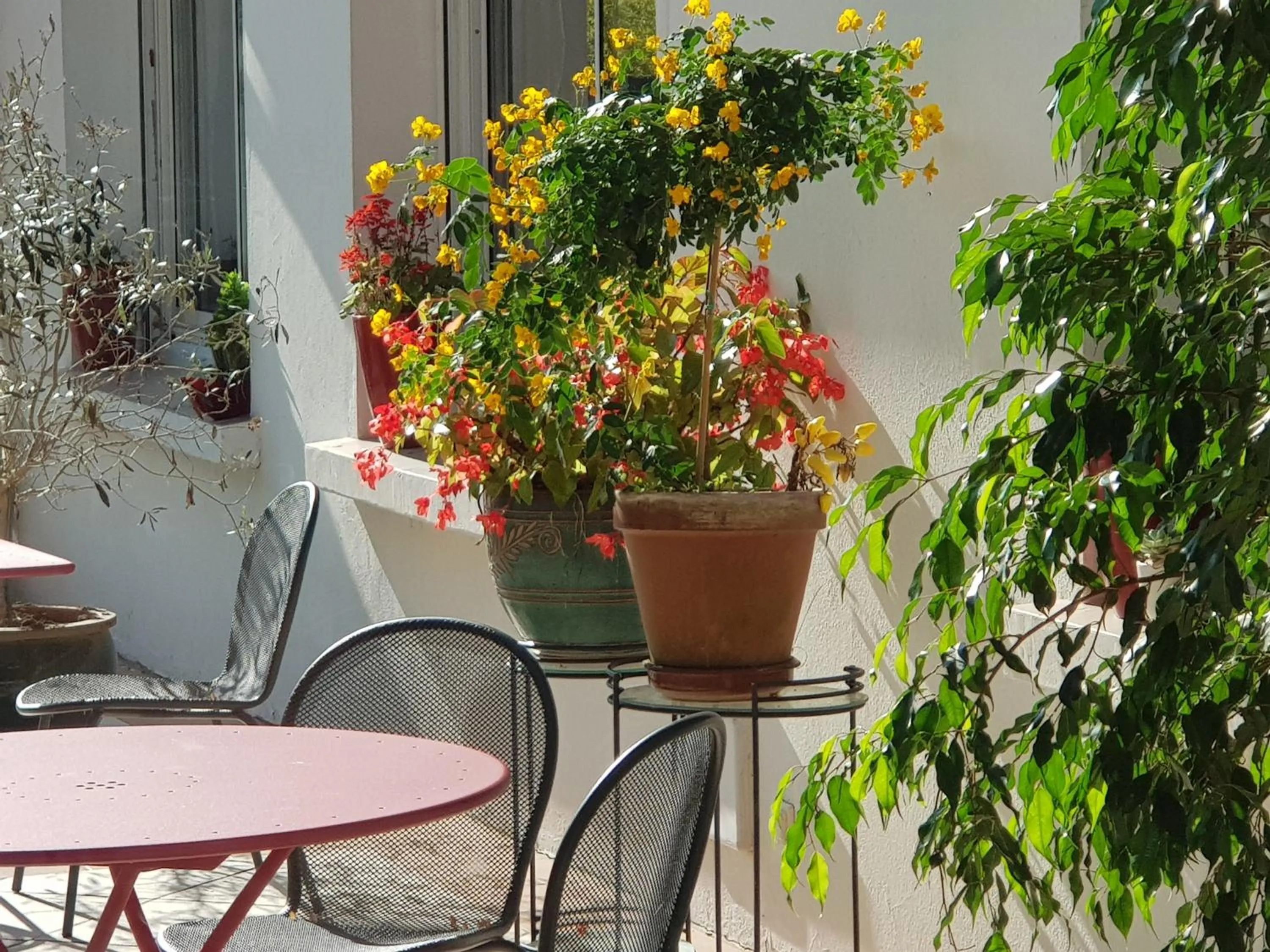 Patio in Hotel Pyrenées Atlantique