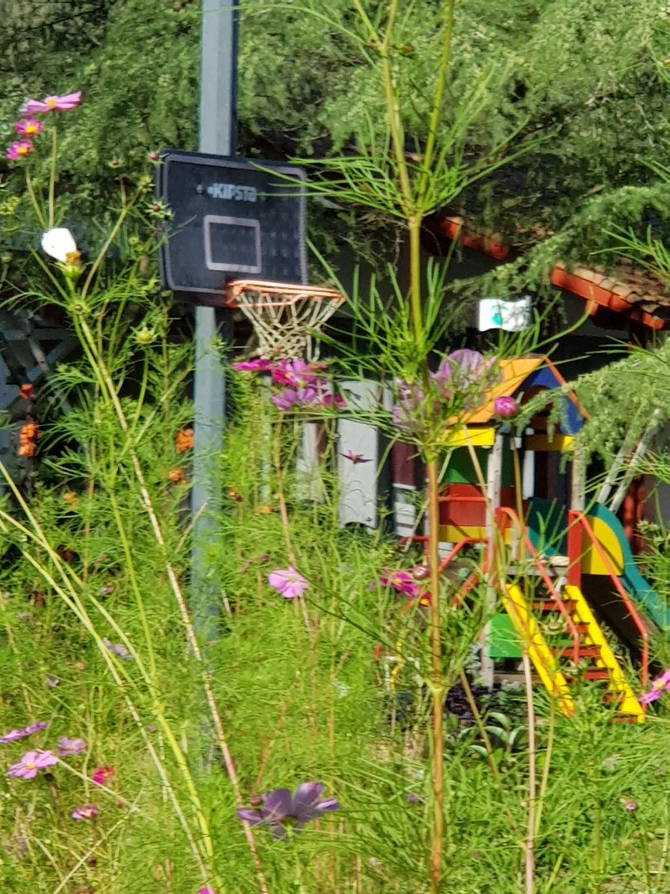 Garden in Hotel Pyrenées Atlantique