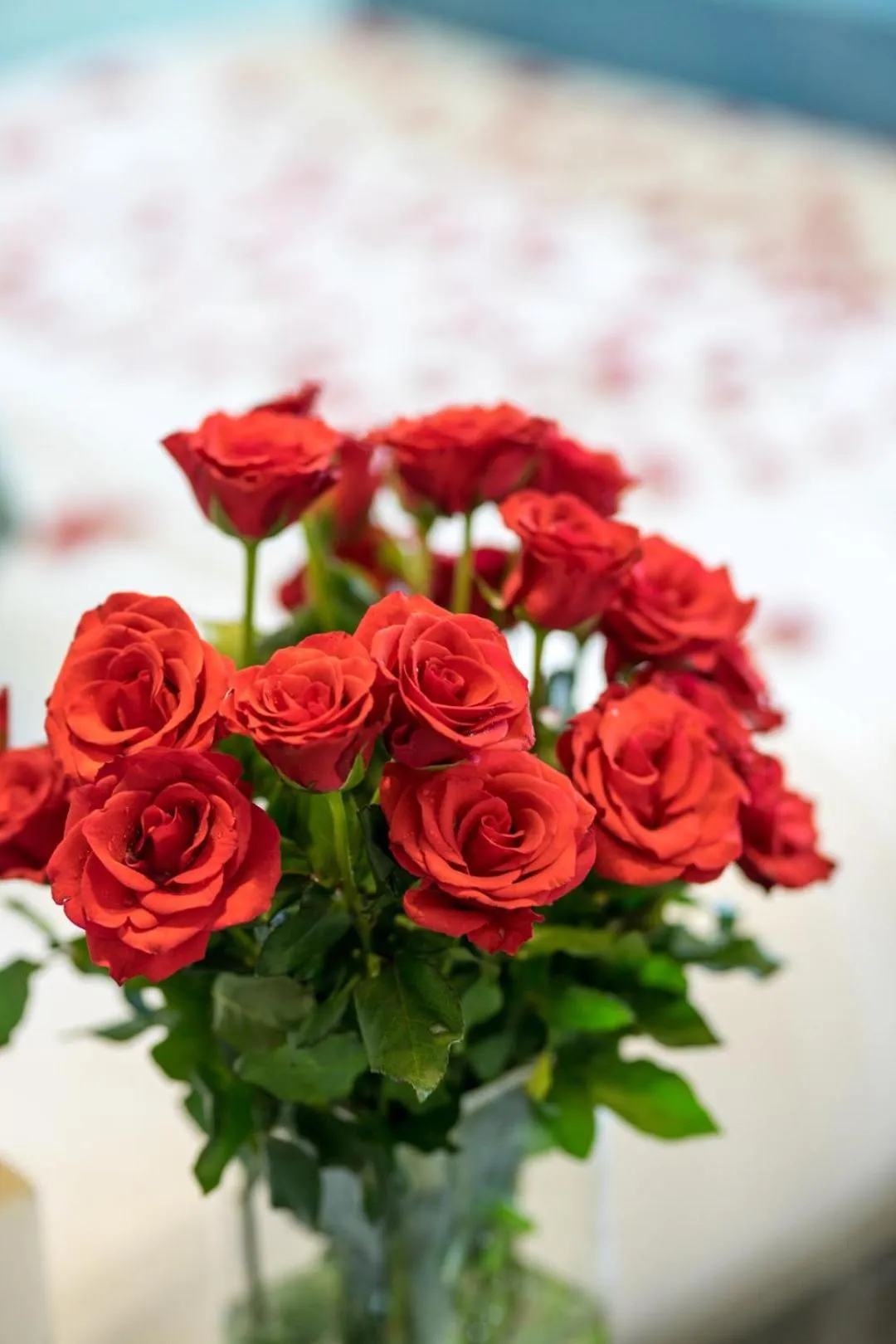 Dining area in Khmer Mansion Residence
