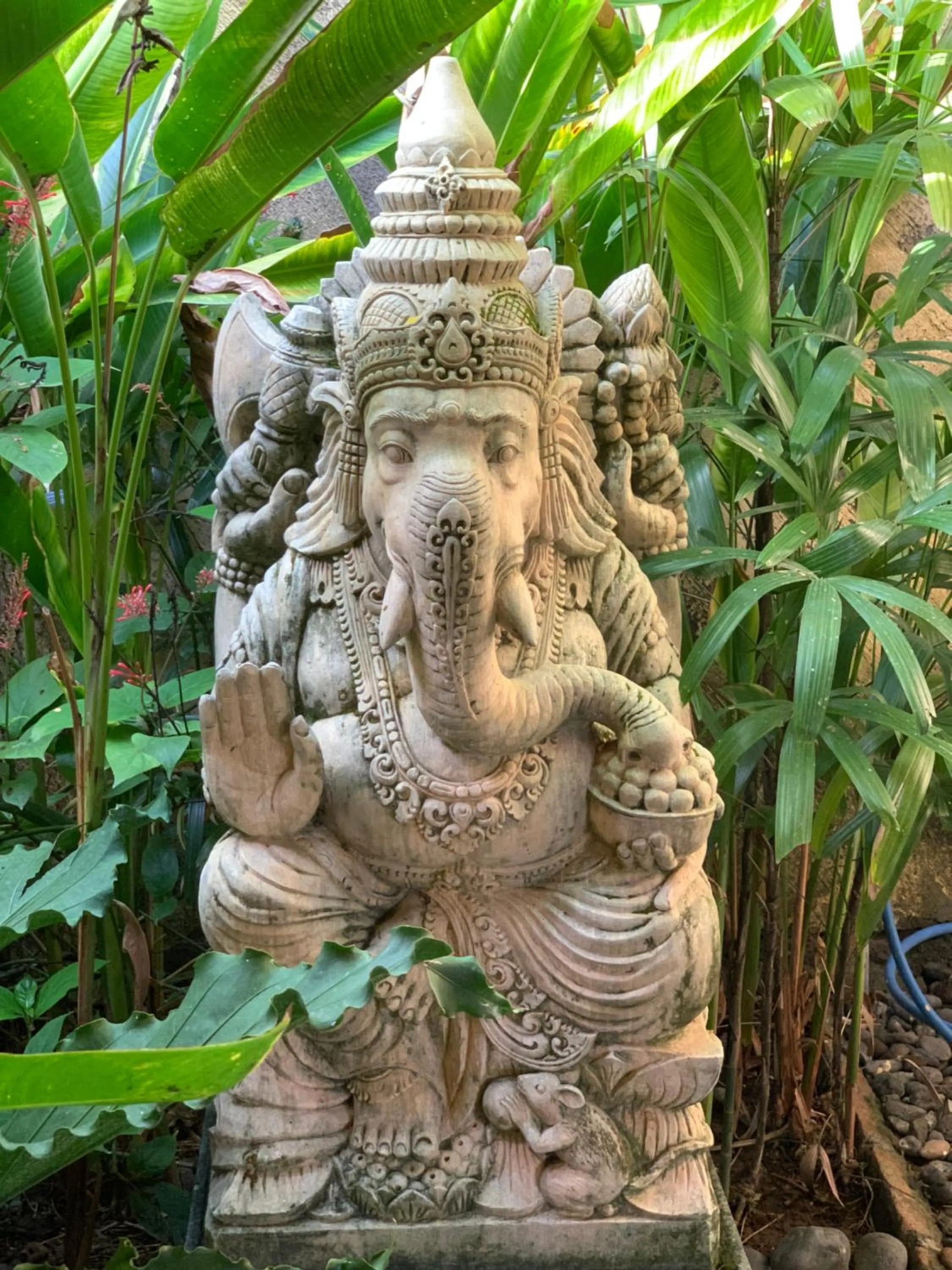 Garden view in Teluk Karang Dive & Spa Resort