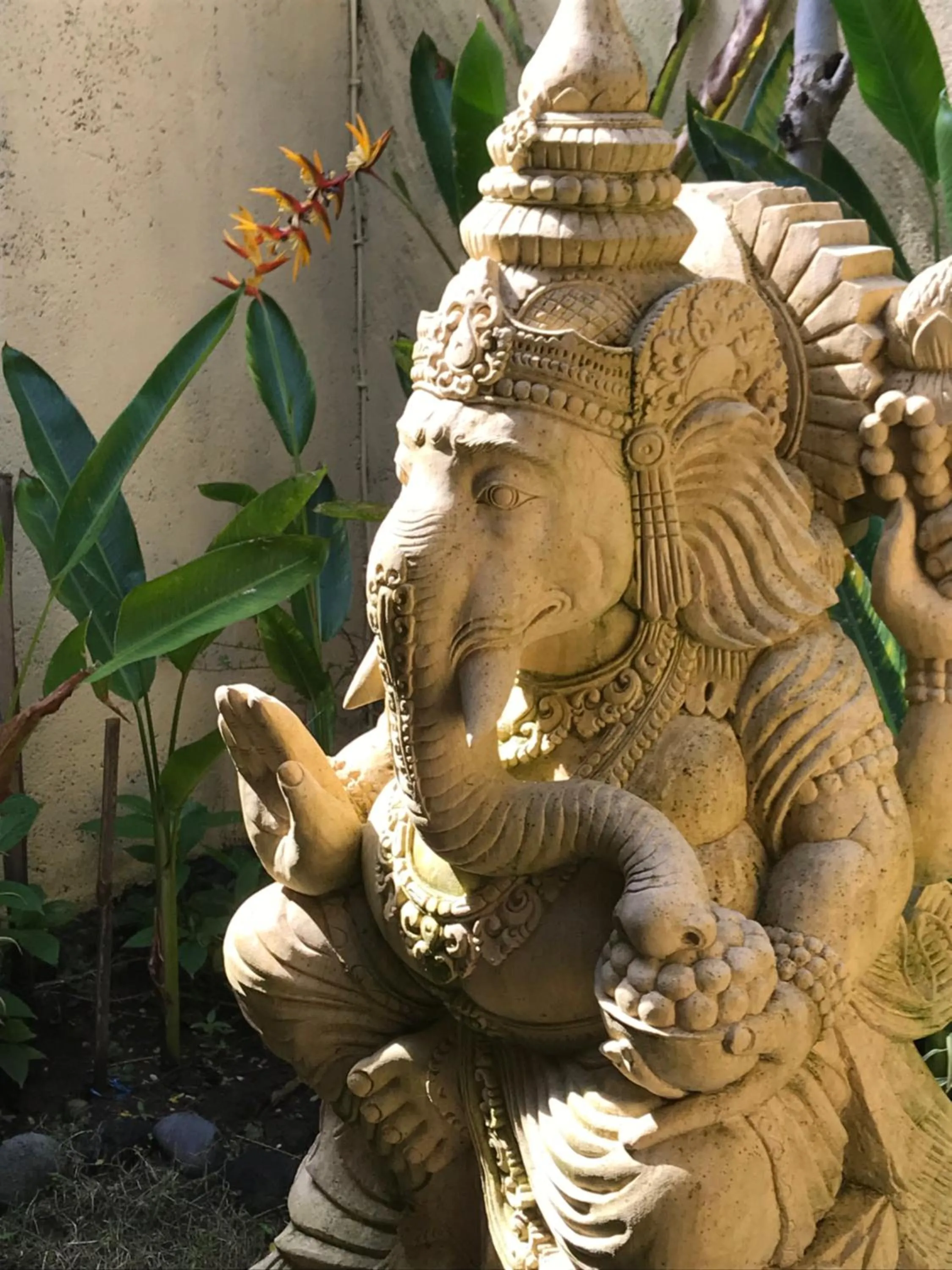 Garden in Teluk Karang Dive & Spa Resort