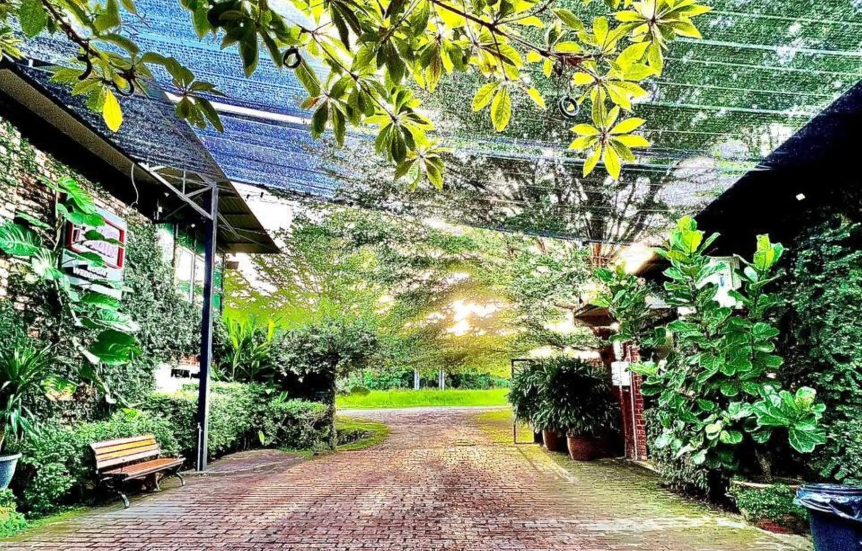 Garden in Petak Padin Cottage by The Pool, Kepala Batas Penang