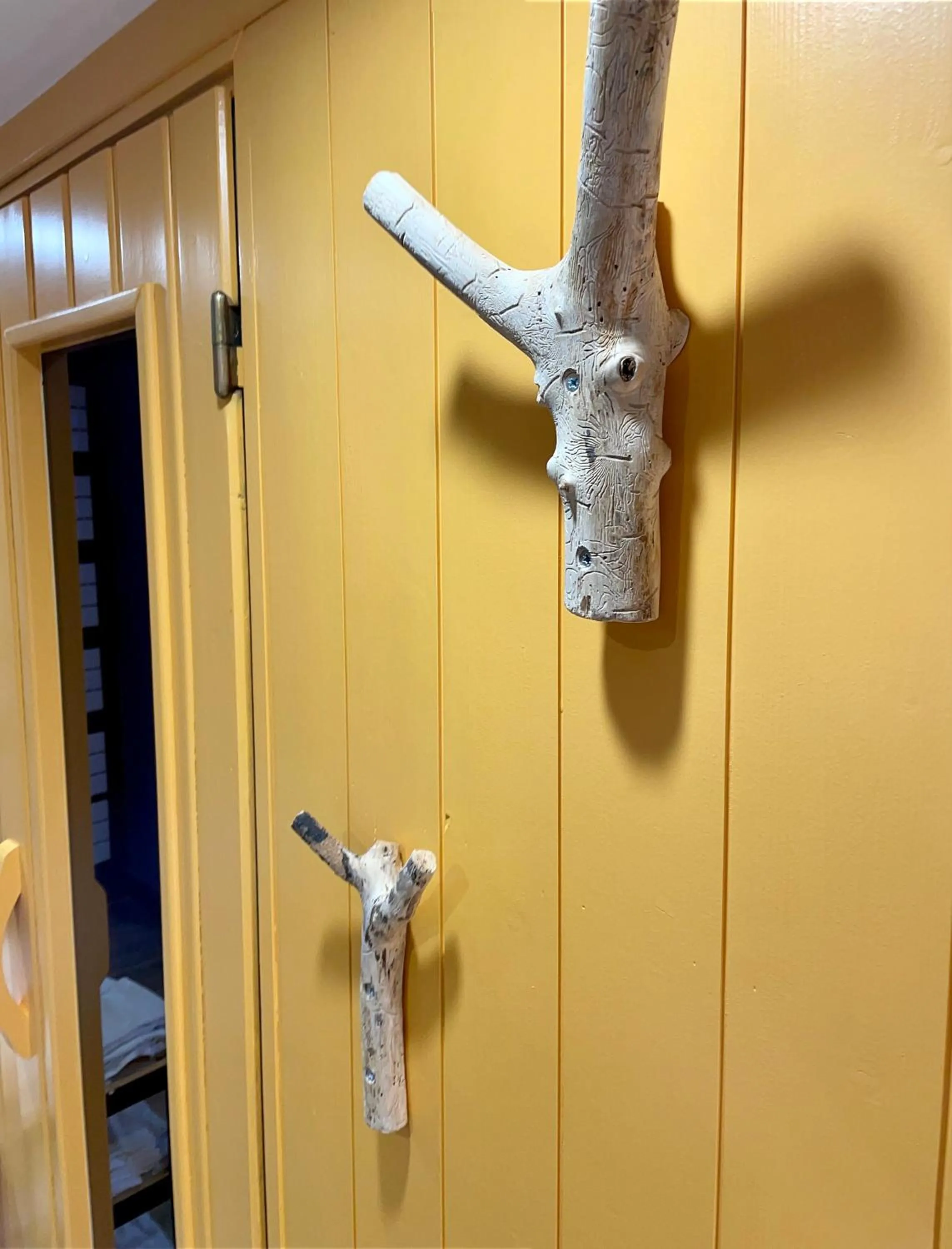 Sauna in Hotel et Spa du Scharrach