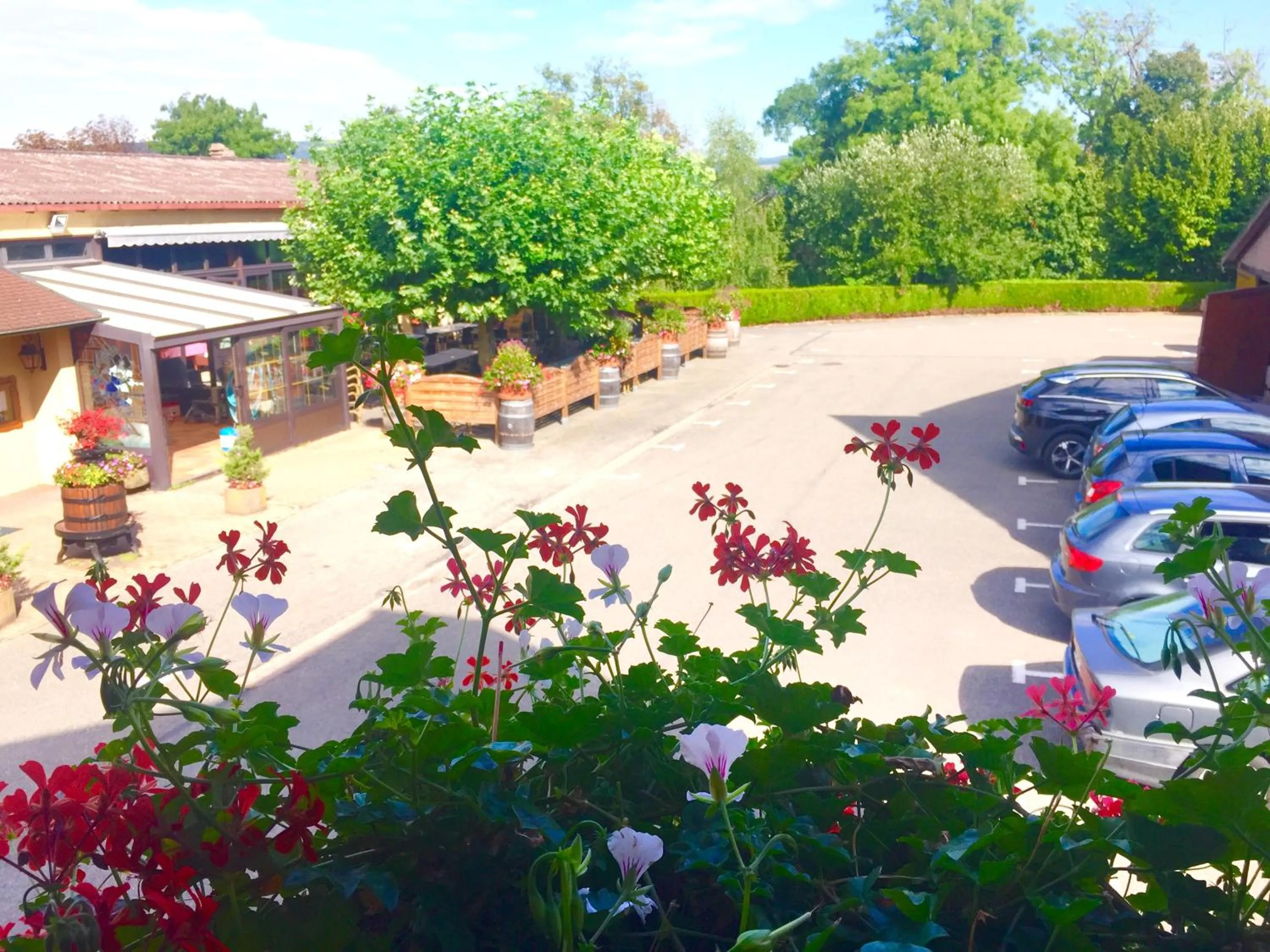 Restaurant/places to eat in Hotel et Spa du Scharrach