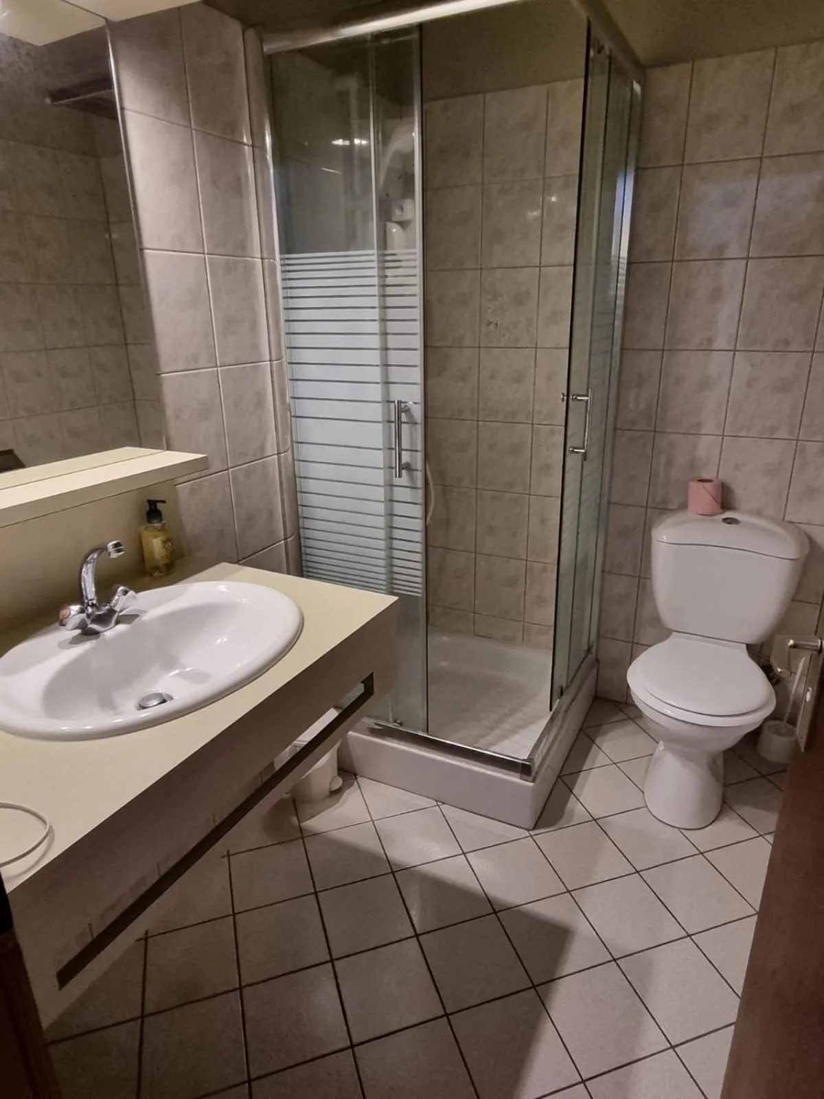 Toilet in Hotel et Spa du Scharrach