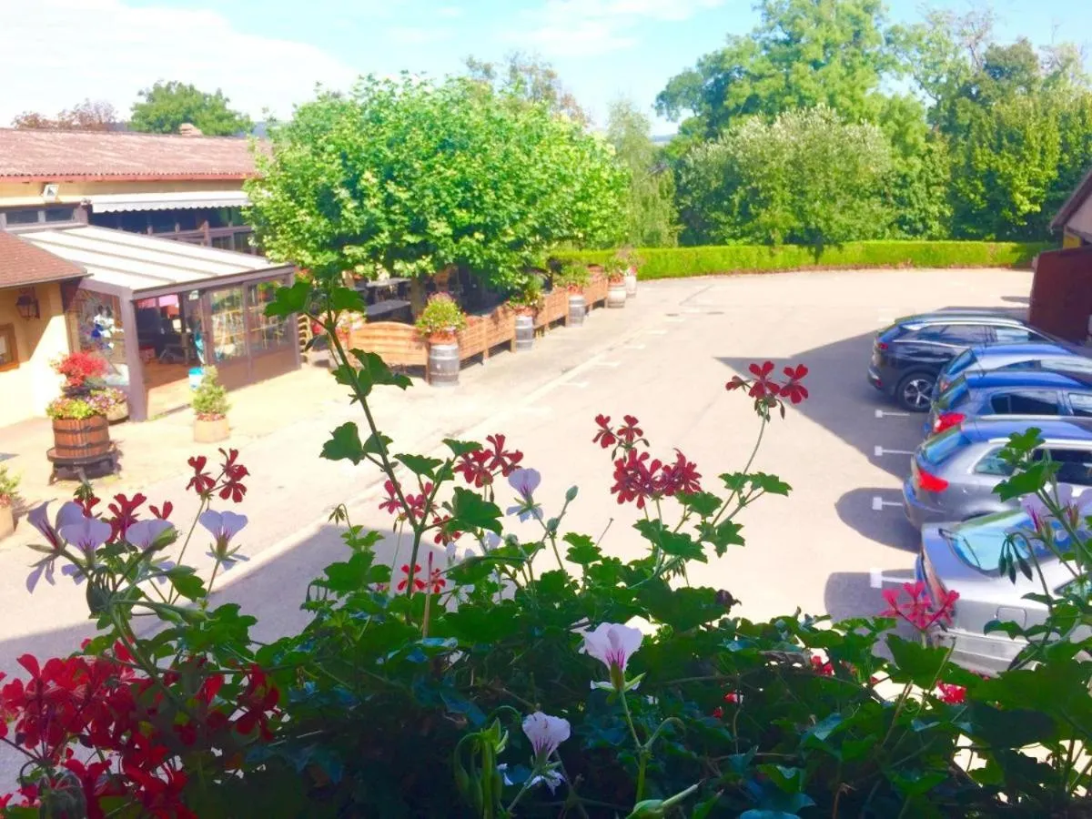 Garden in Hotel et Spa du Scharrach