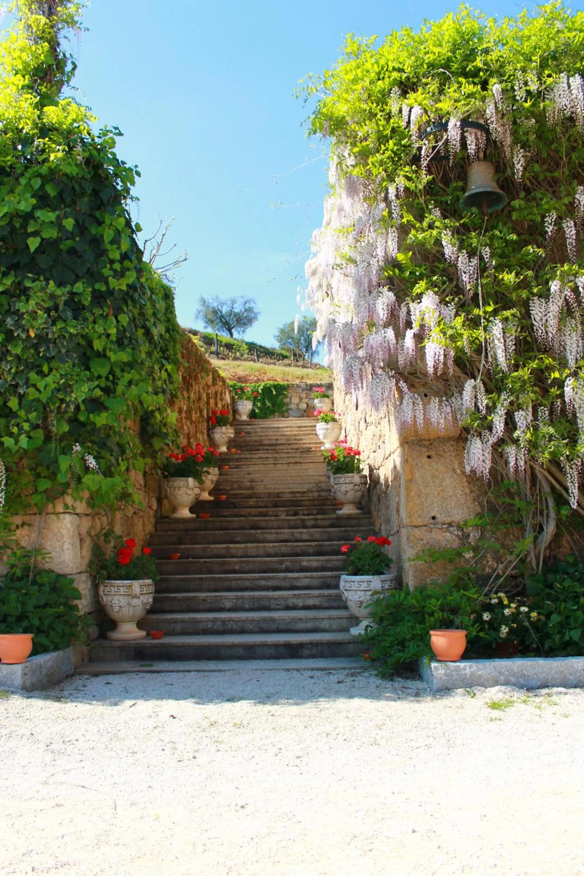 Garden in Hotel Rural Casa dos Viscondes da Varzea