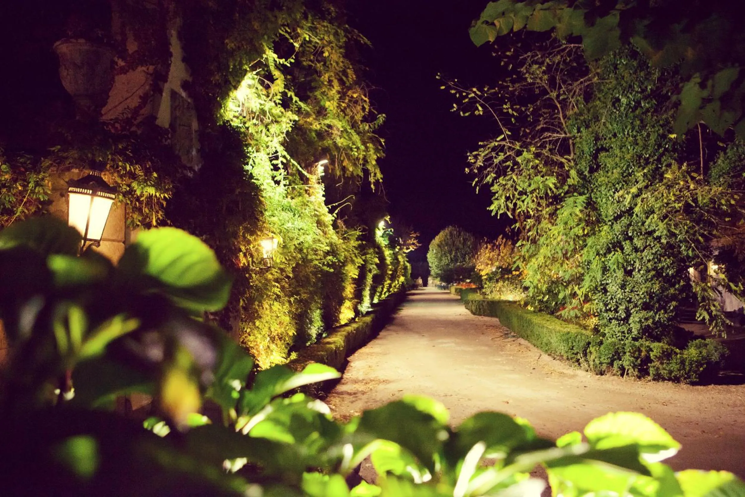 Garden in Hotel Rural Casa dos Viscondes da Varzea