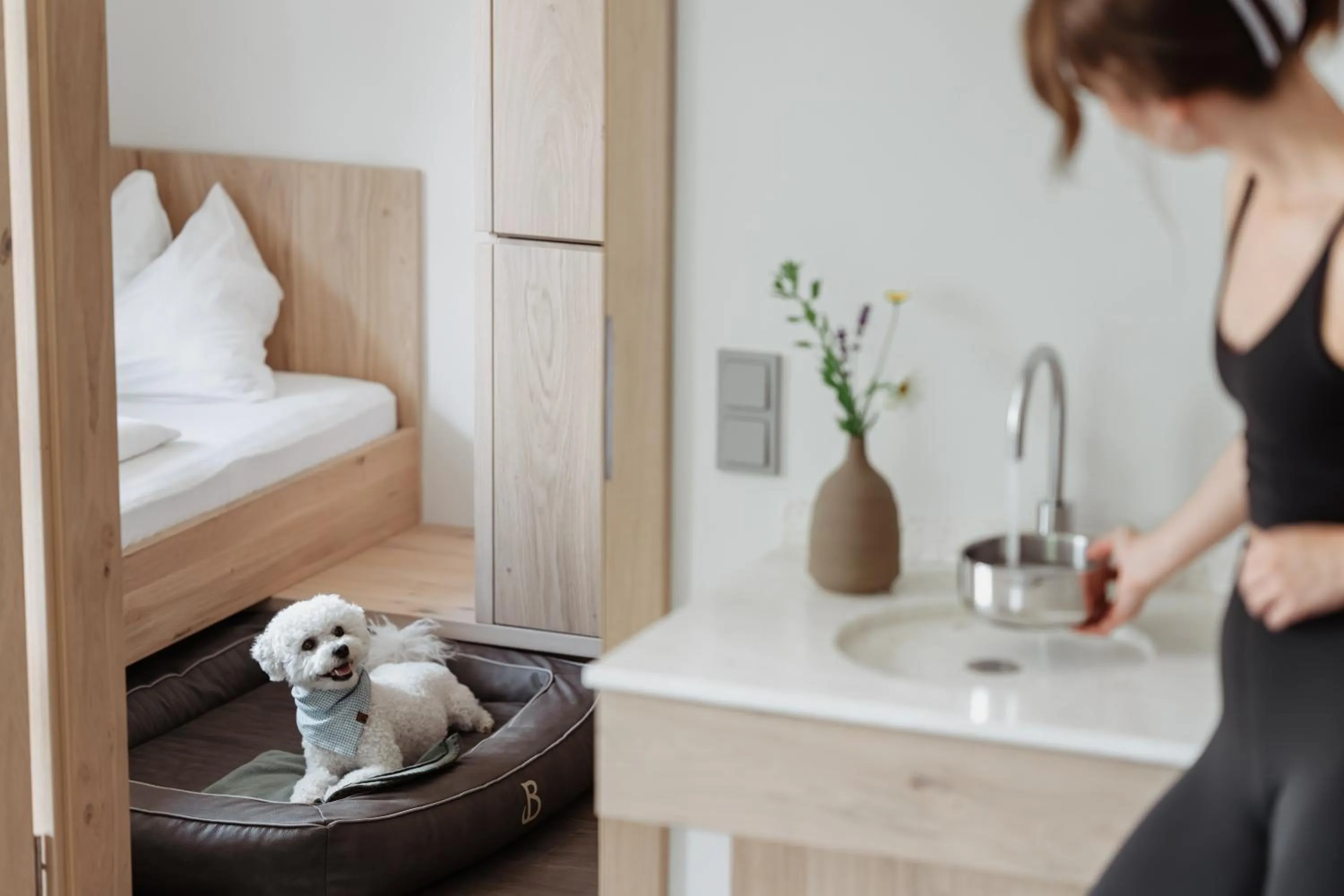 Pets, Bed in Boutique Hundehotel Bergzeit