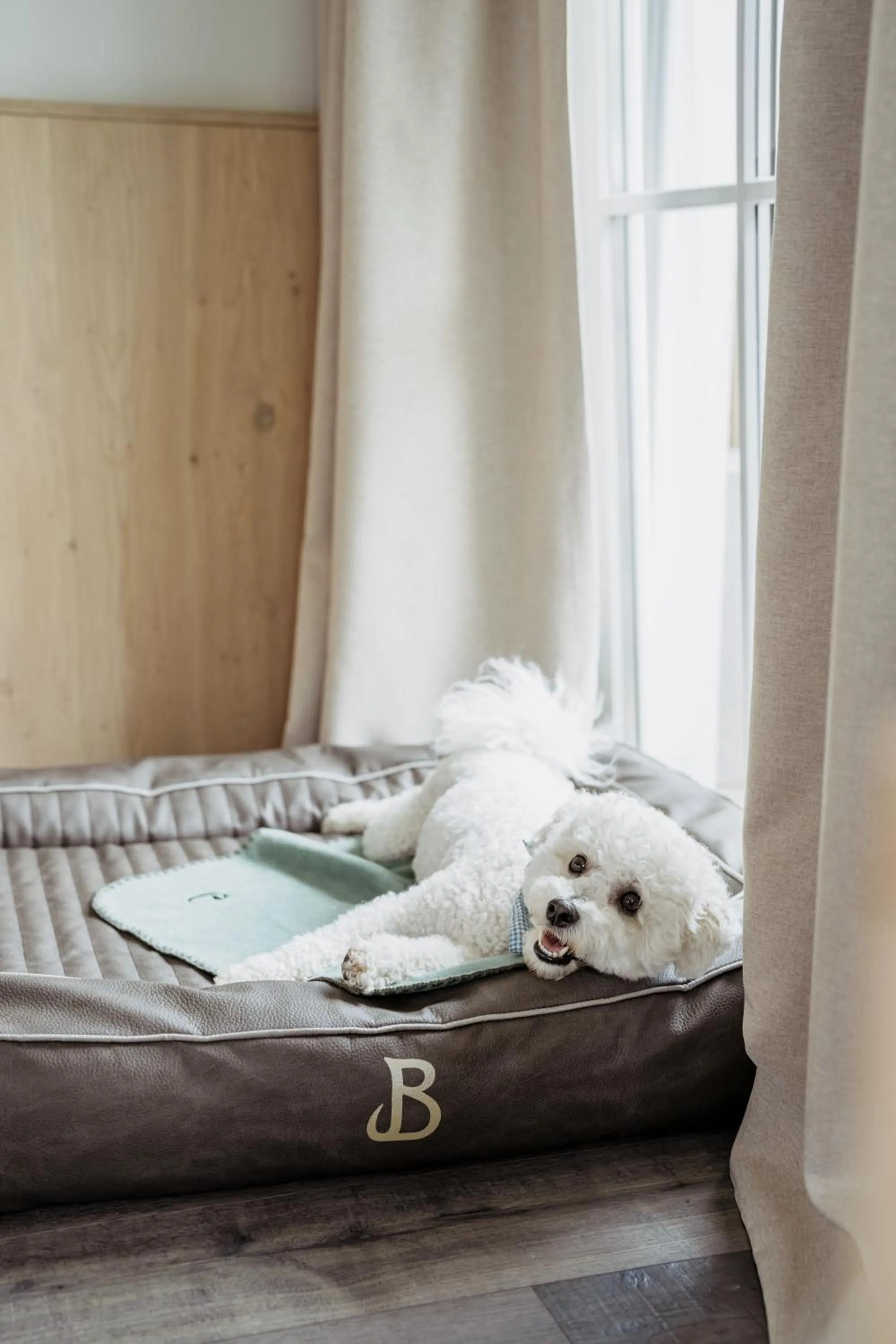 Pets in Boutique Hundehotel Bergzeit