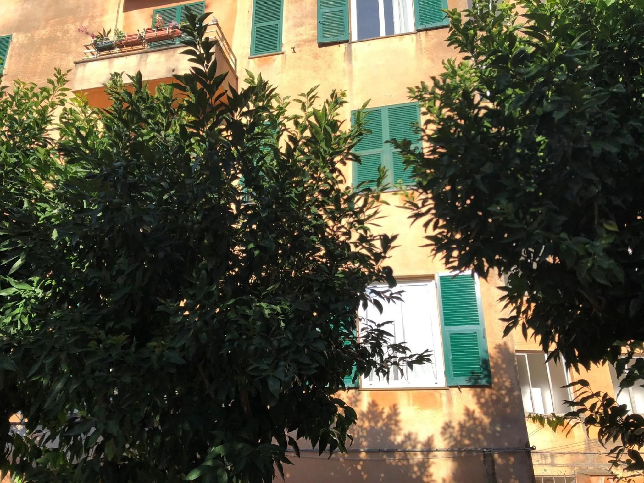 House Nervi by Holiday World