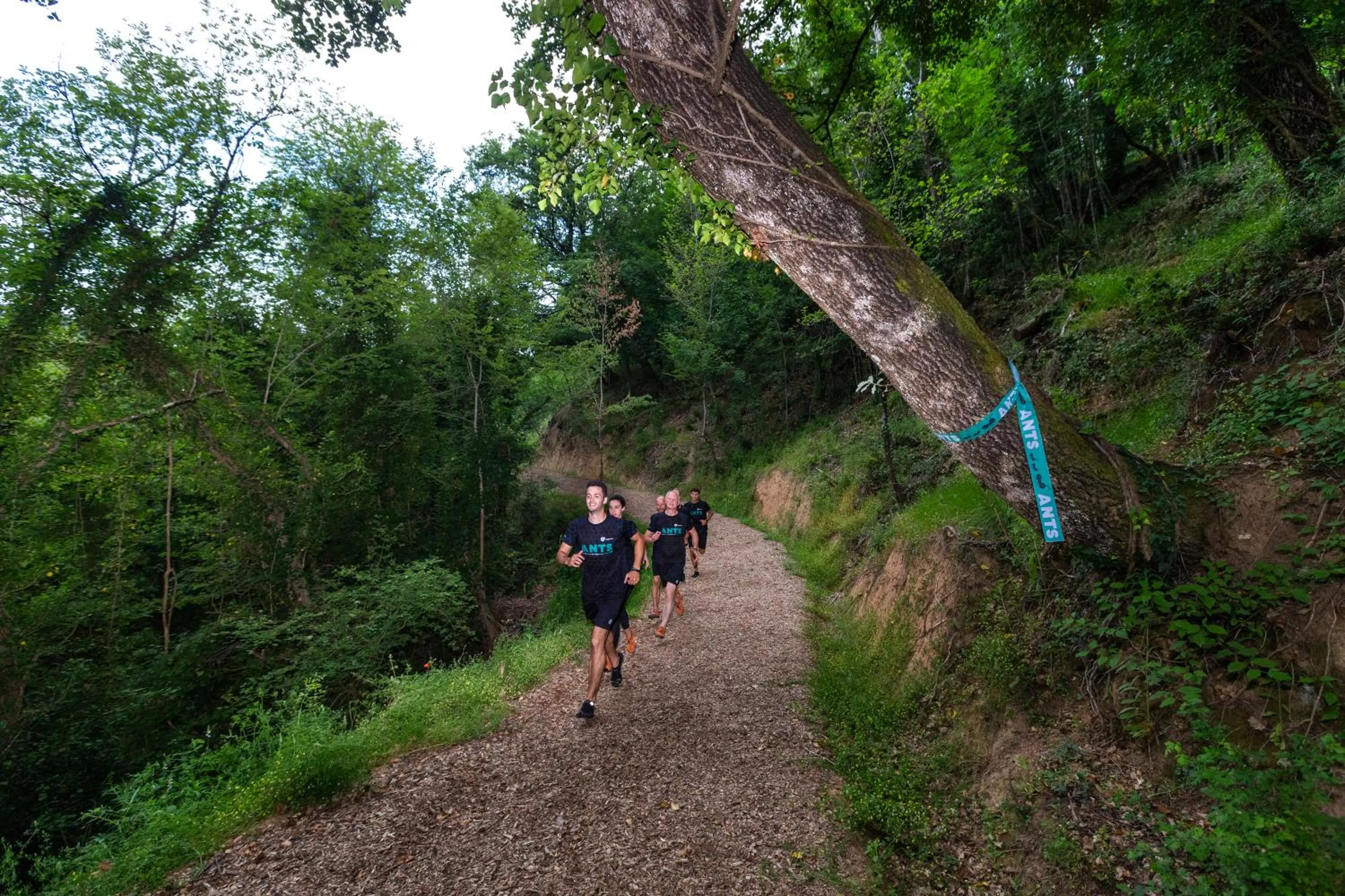 Sports in Villa Norcenni ApartHotel