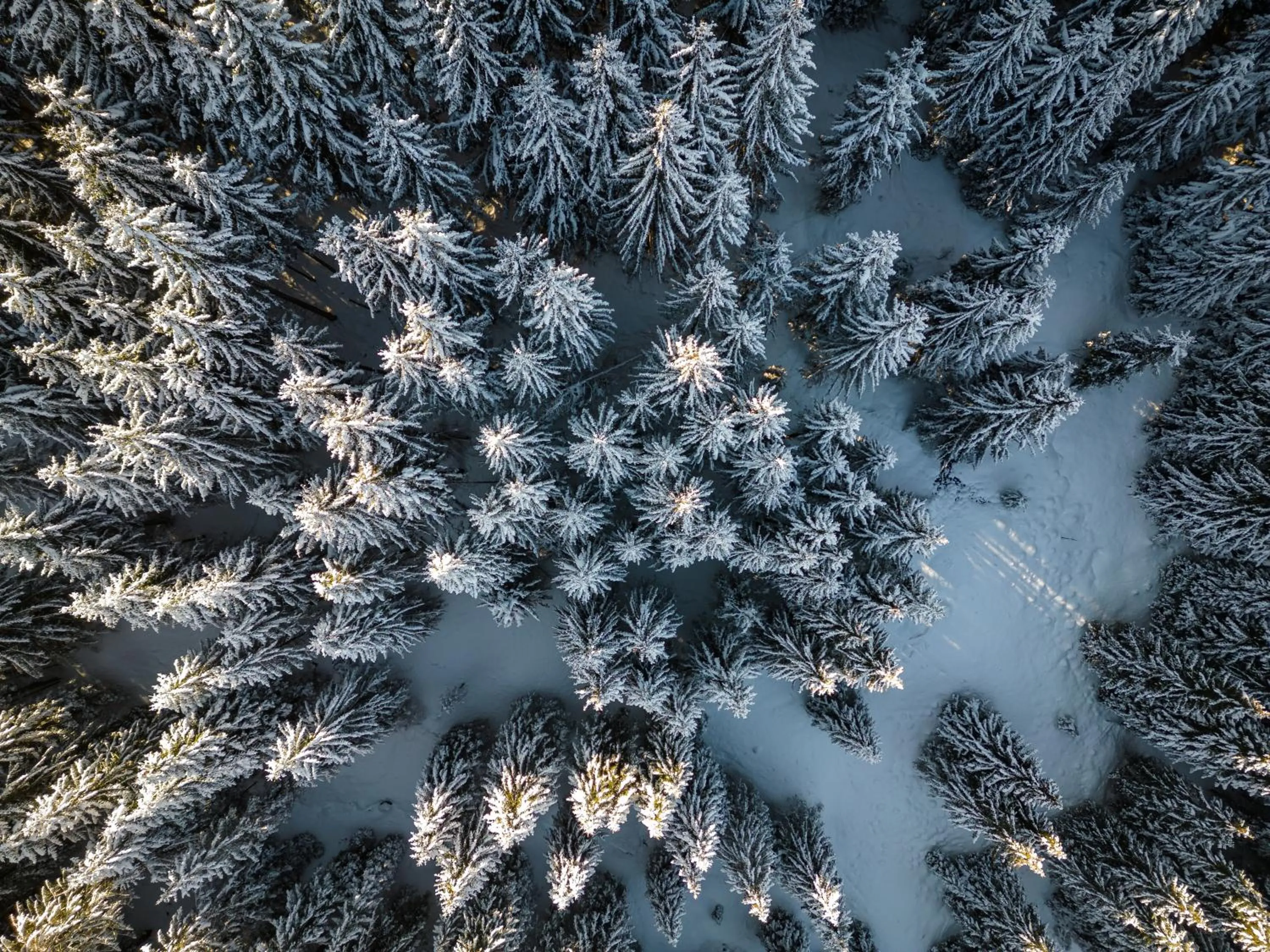 Natural landscape in Hartungs Hoteldorf