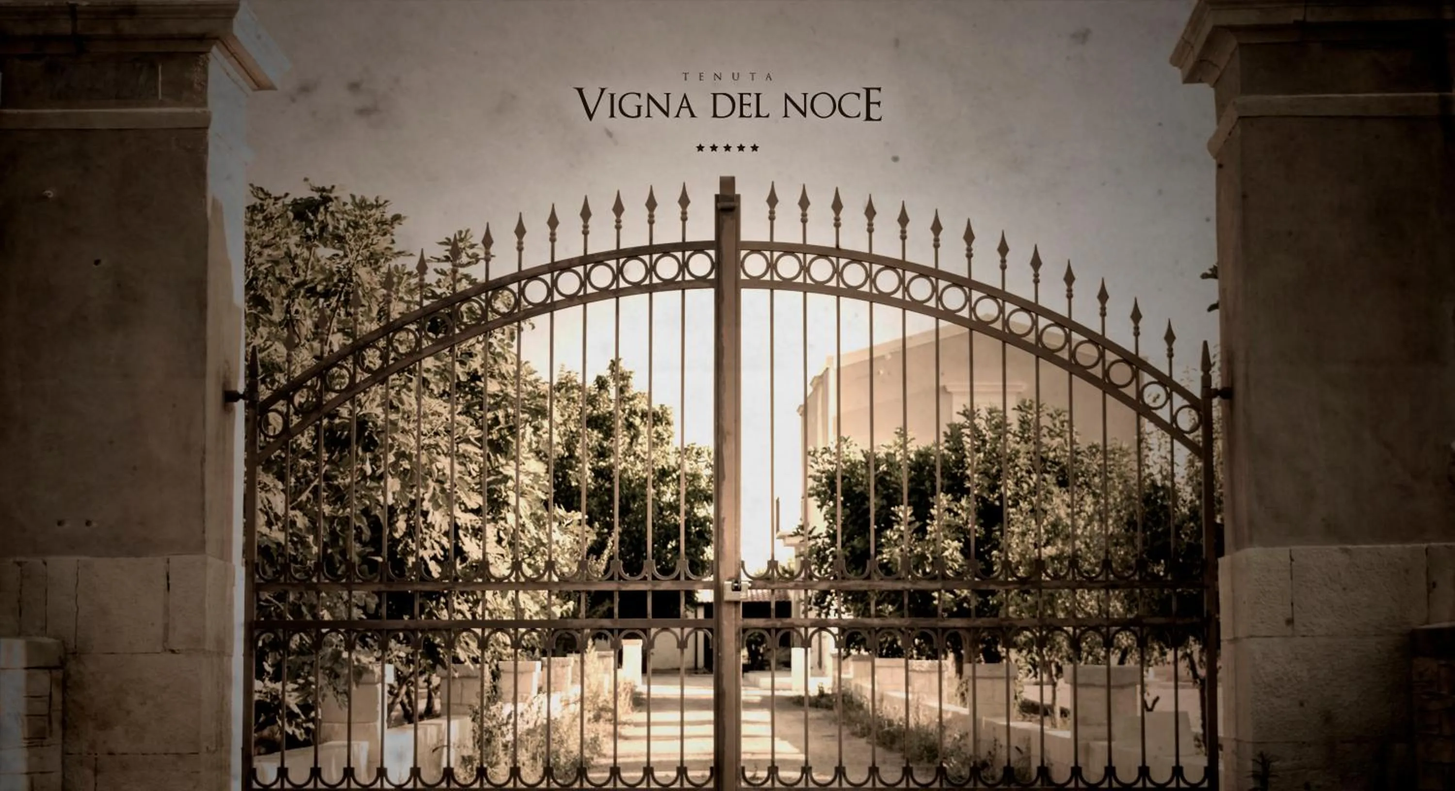 Other in Tenuta Vigna del Noce