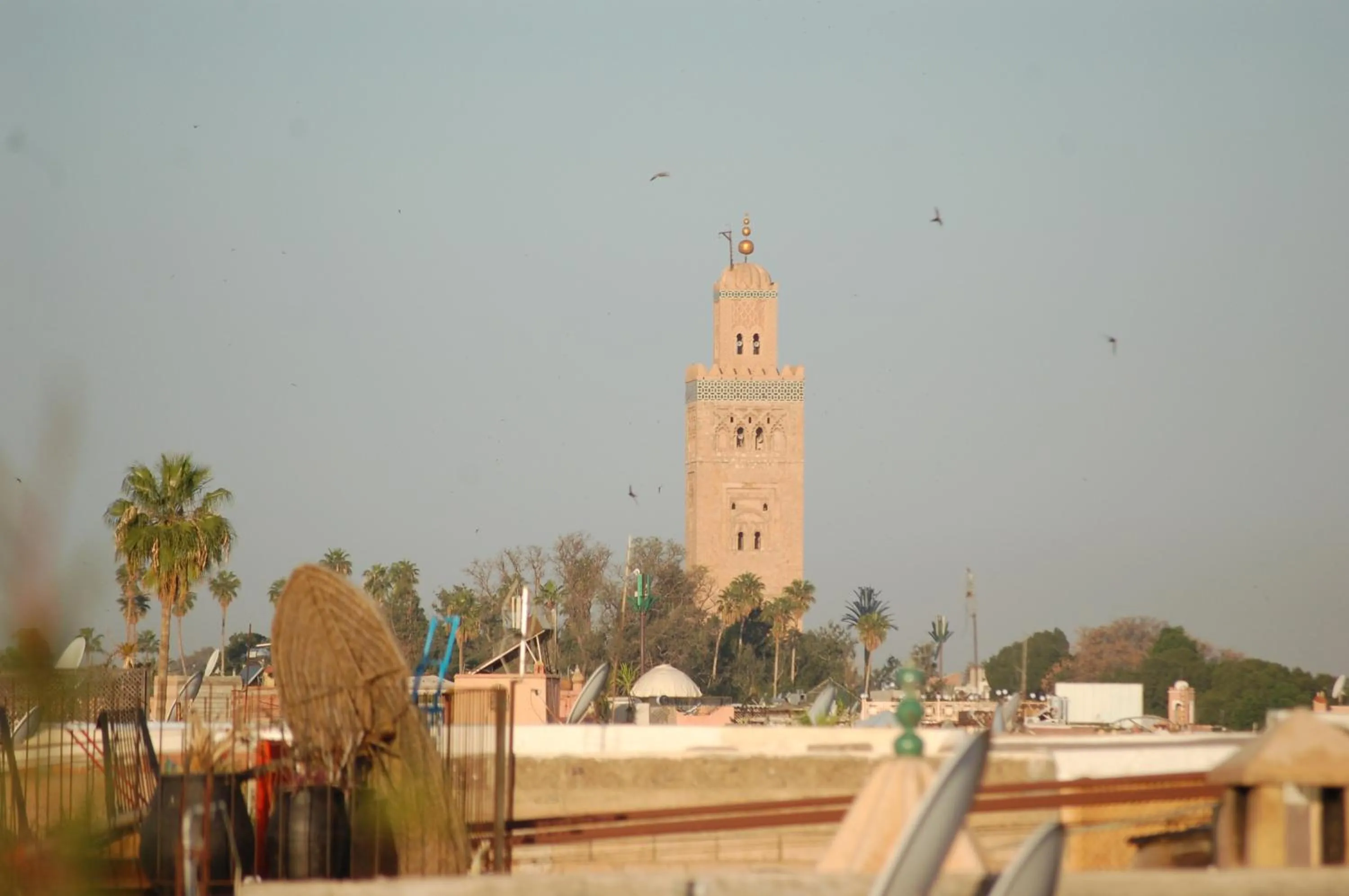 Property building in Dar Margot Marrakech