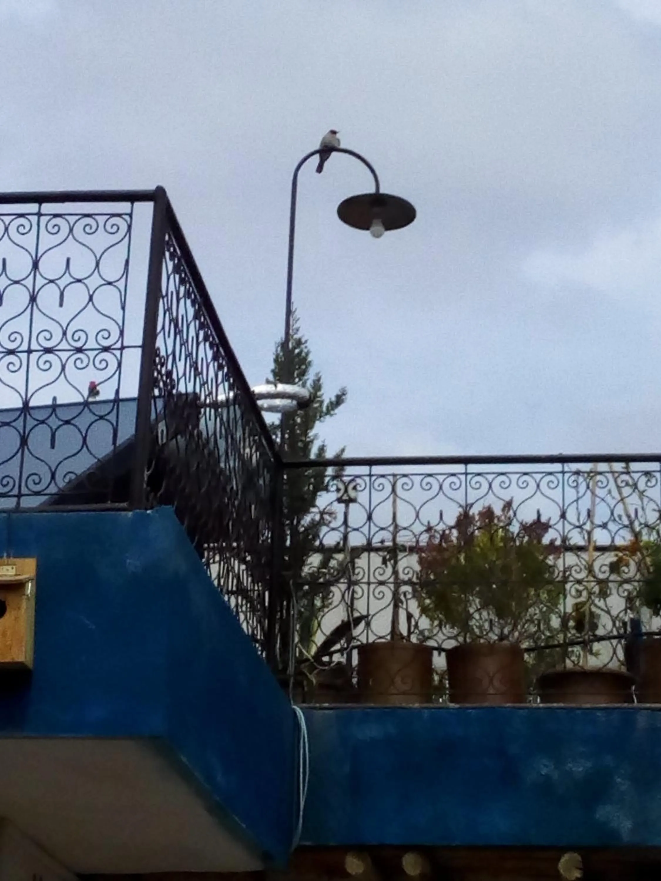 Property building in Dar Margot Marrakech