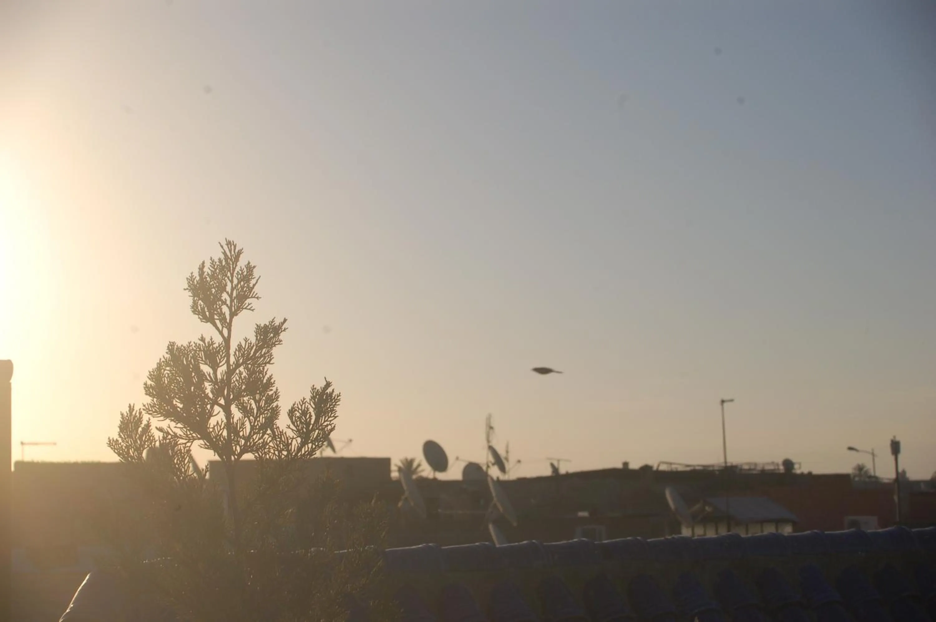 Property building in Dar Margot Marrakech