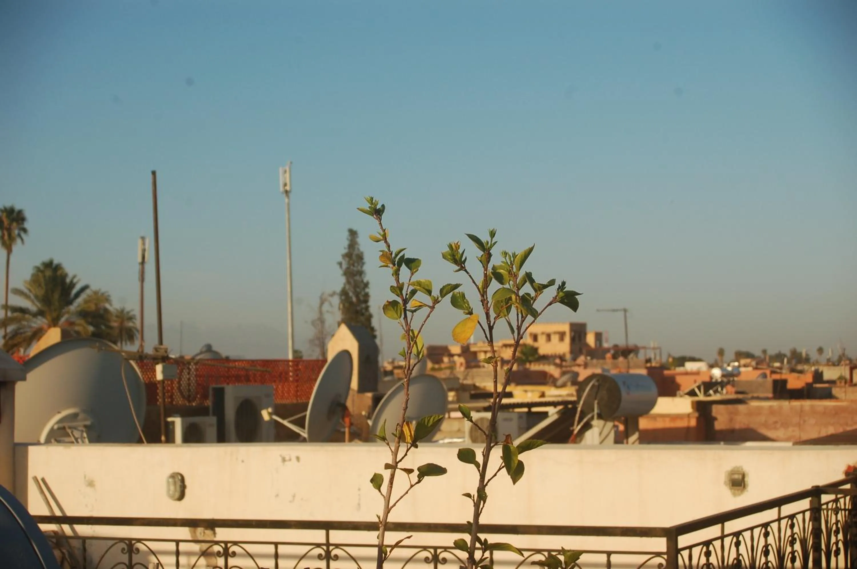 Property building in Dar Margot Marrakech