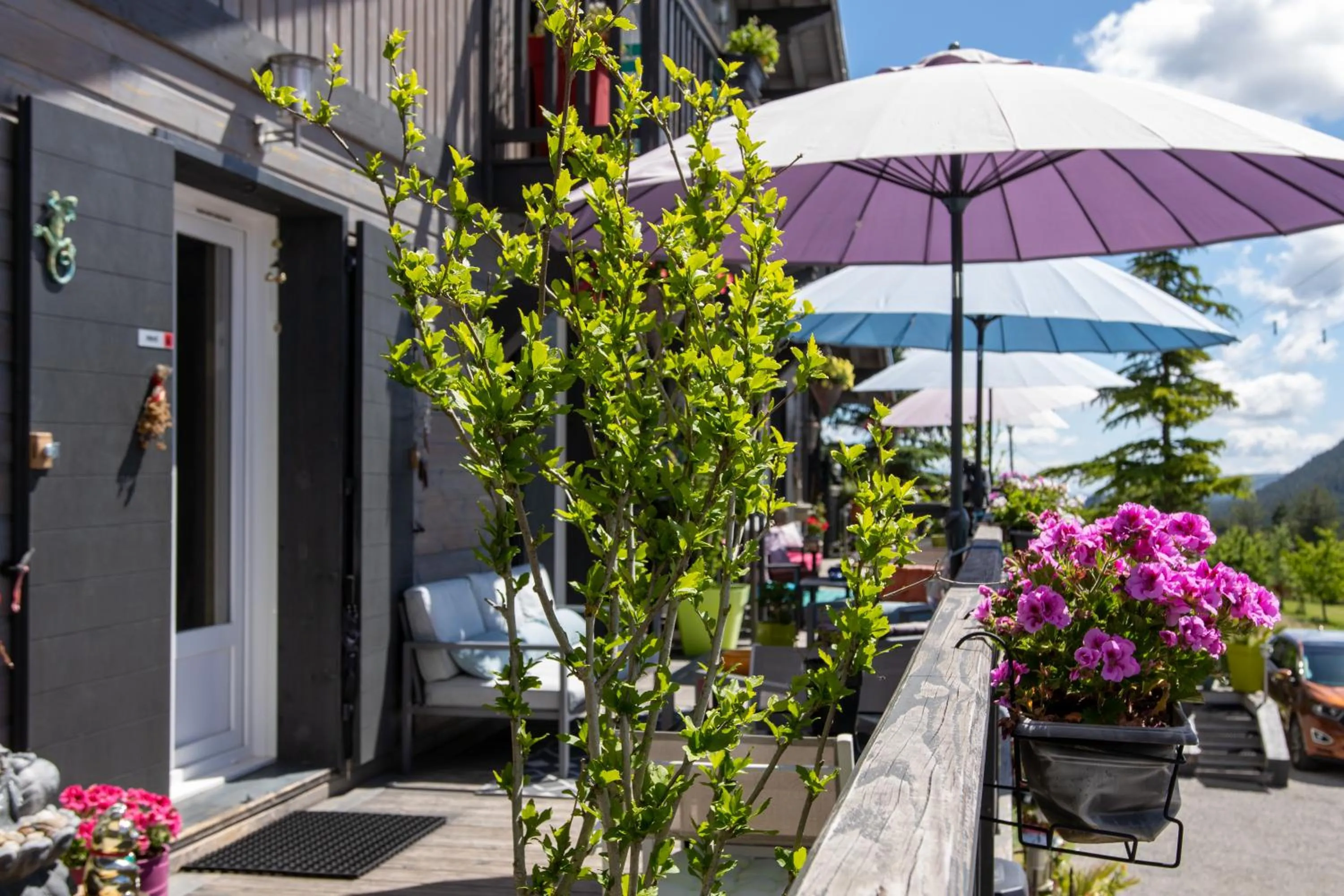 Garden in L'Alpen Roc