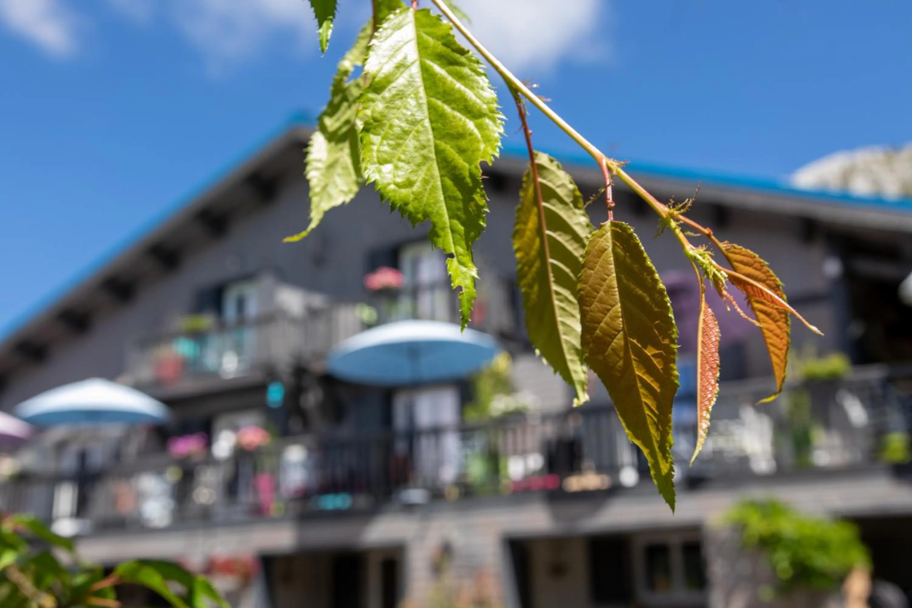 Property building in L'Alpen Roc