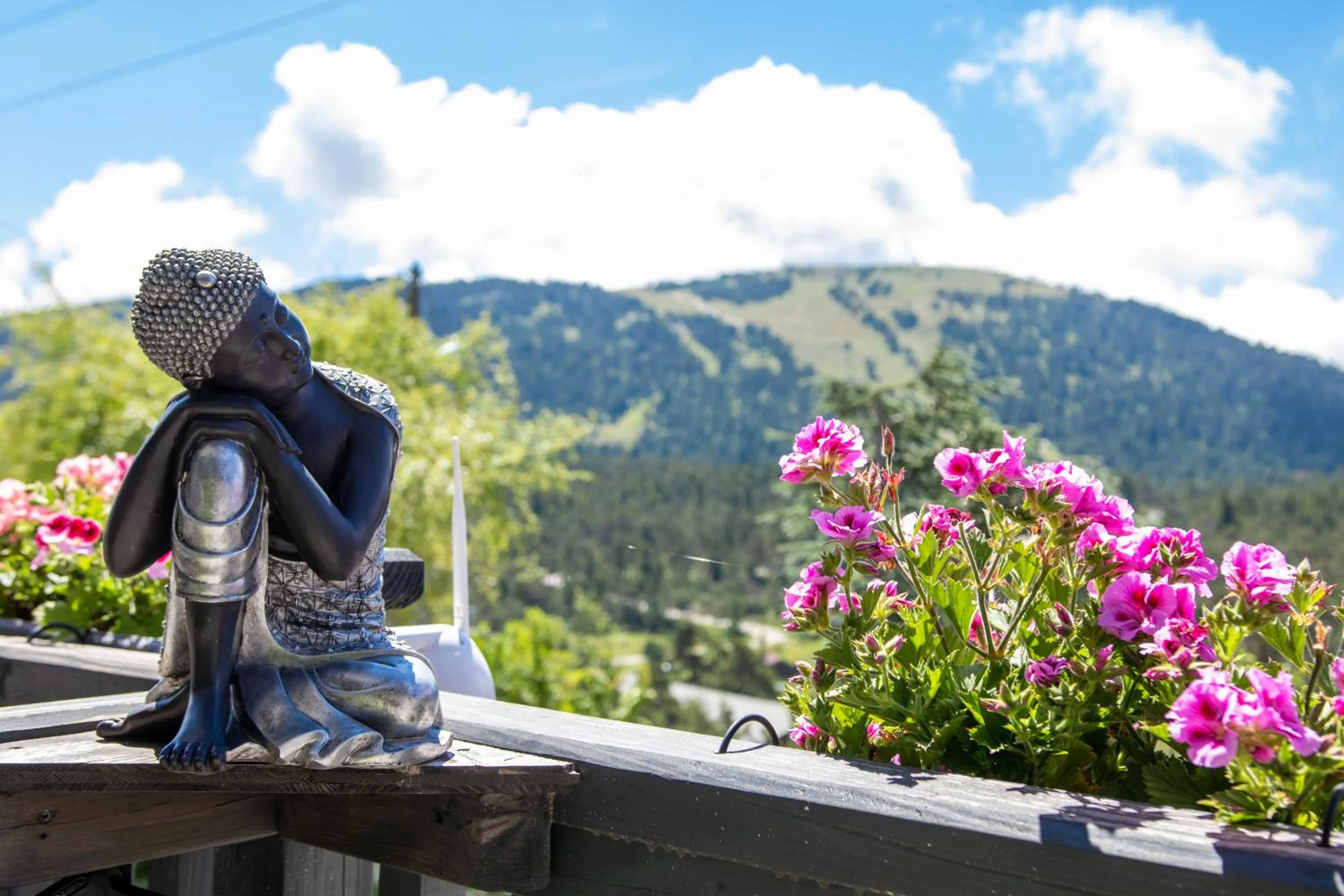 View (from property/room) in L'Alpen Roc