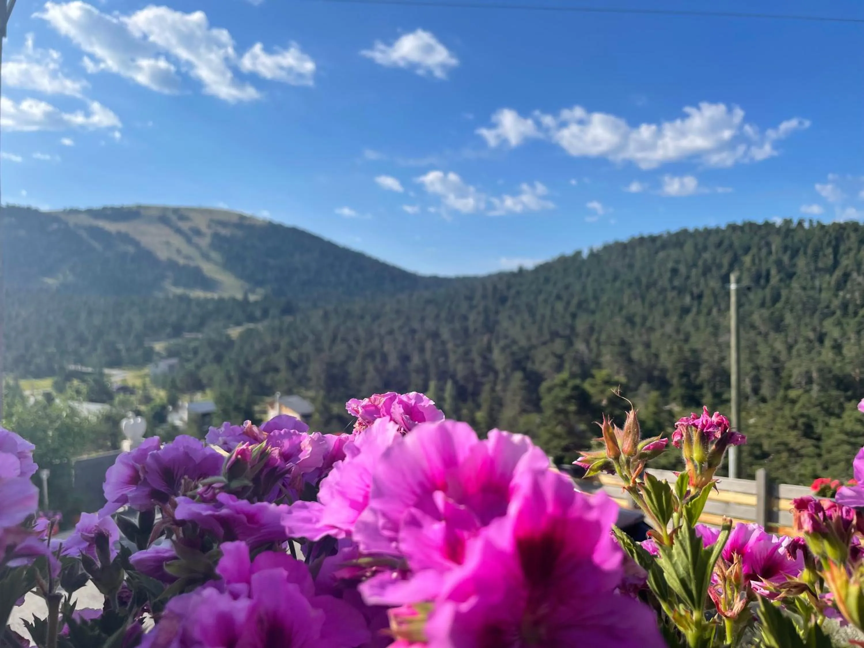 View (from property/room) in L'Alpen Roc